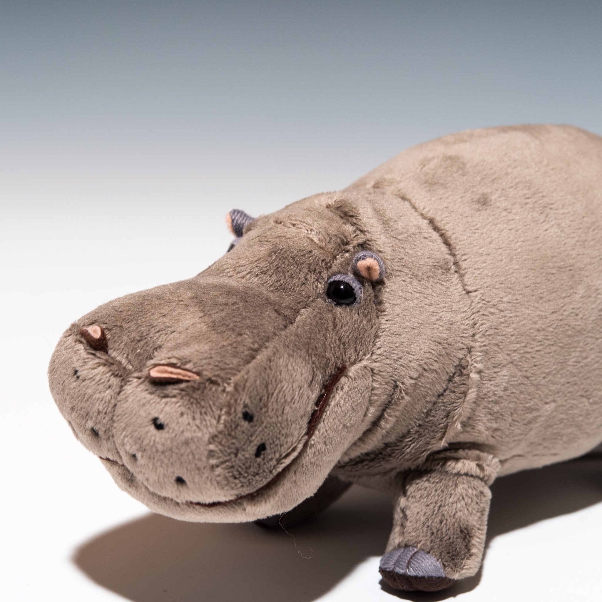 カバのかわいいぬいぐるみの通販 - エステルノ・となりの動物園