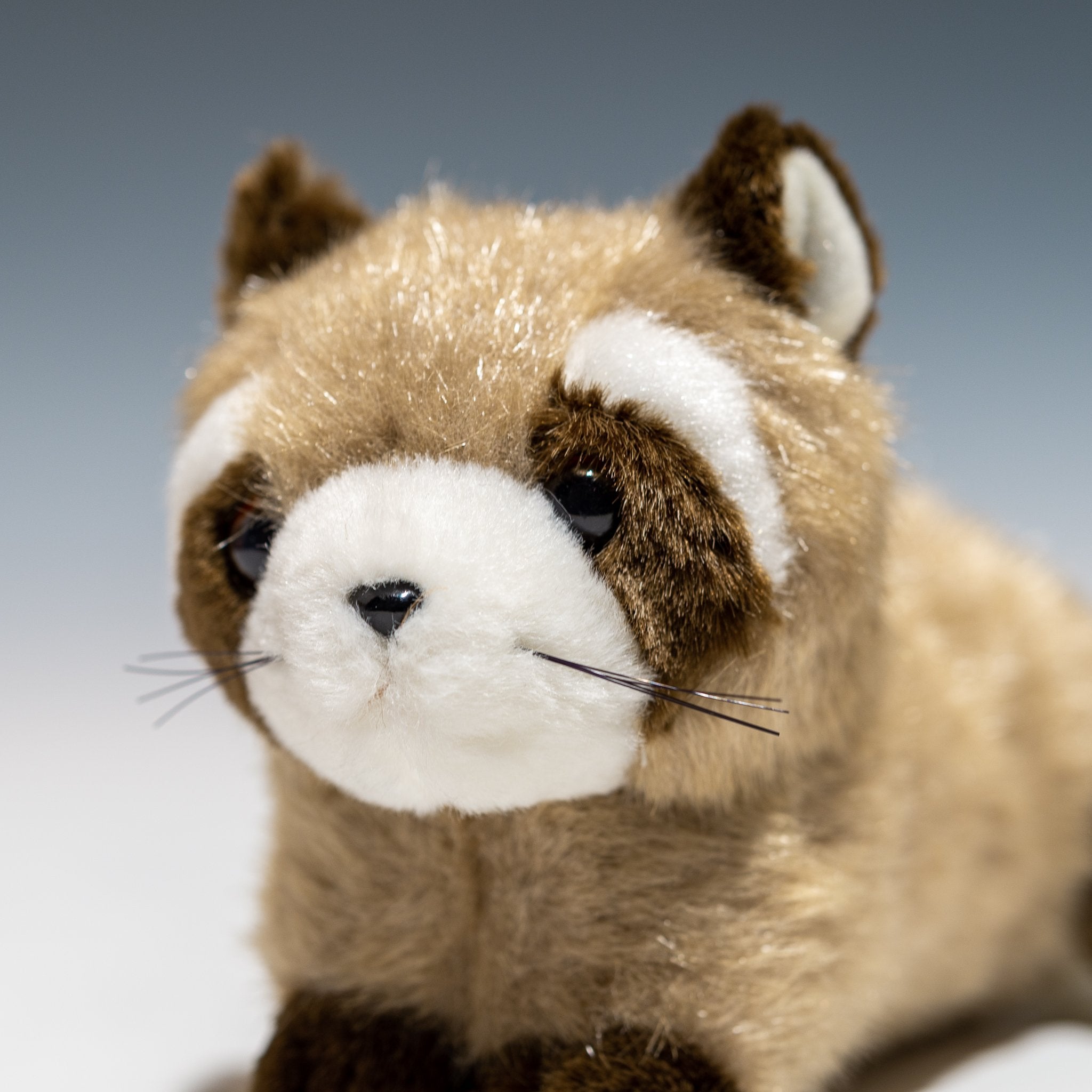 アライグマのかわいいぬいぐるみの通販 - エステルノ・となりの動物園