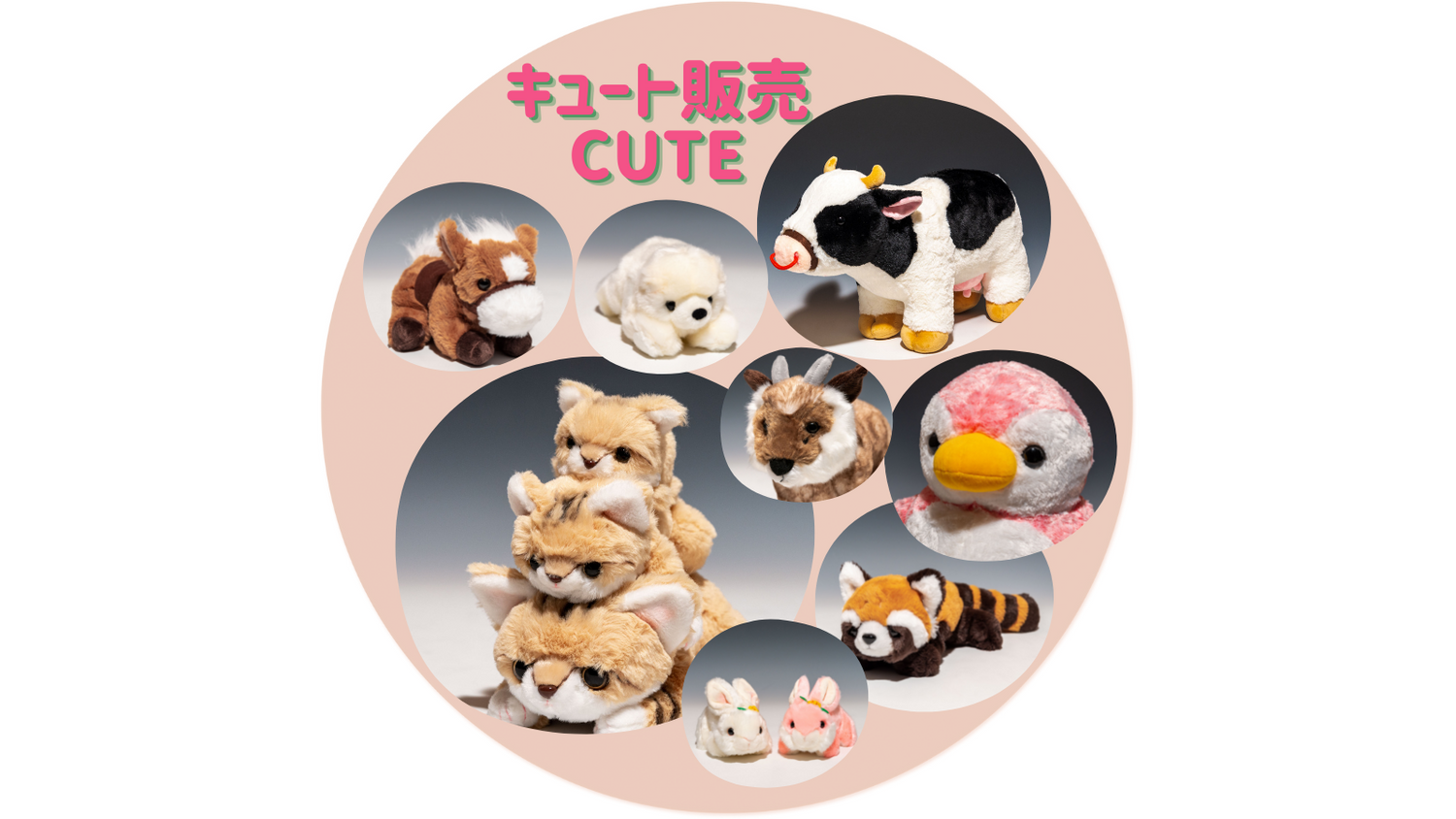 CUTE キュート販売 ぬいぐるみコレクション画像