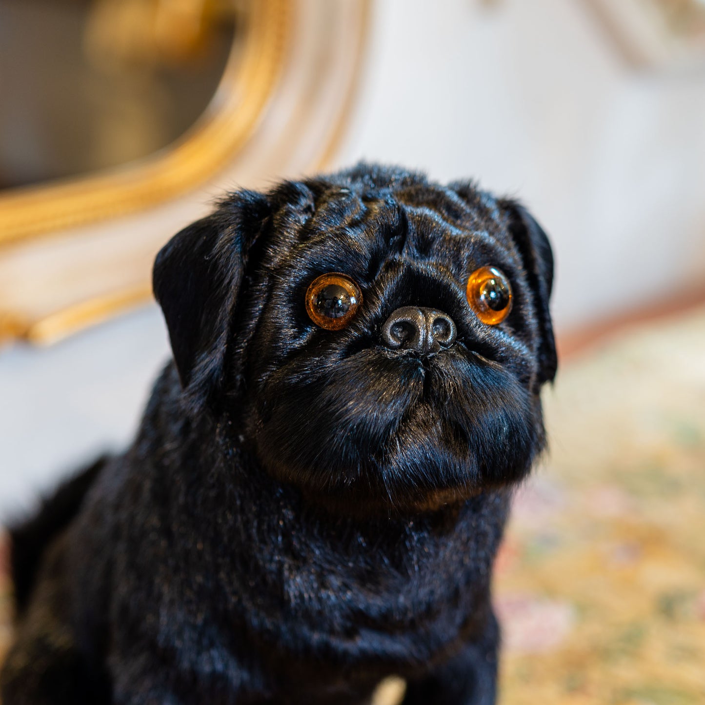 ドッグオブジェ 犬型置物 黒パグ 右横顔