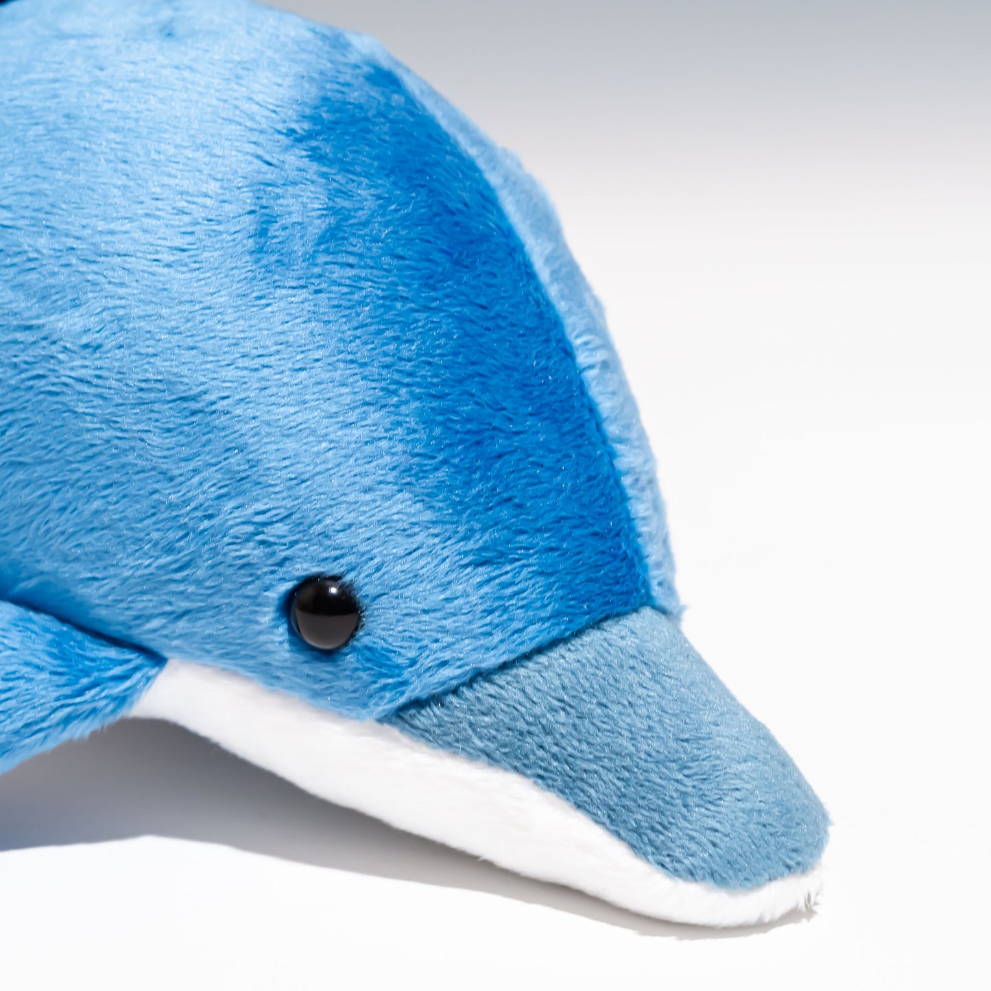 たけのこ TAKENOKO ぬいぐるみ イルカ (NEW) S ブルー 85767 右横顔