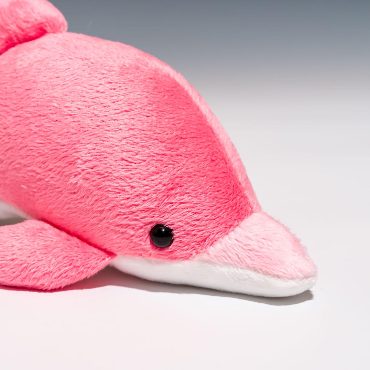 たけのこ TAKENOKO ぬいぐるみ イルカ (NEW) S ピンク 85768 右横顔