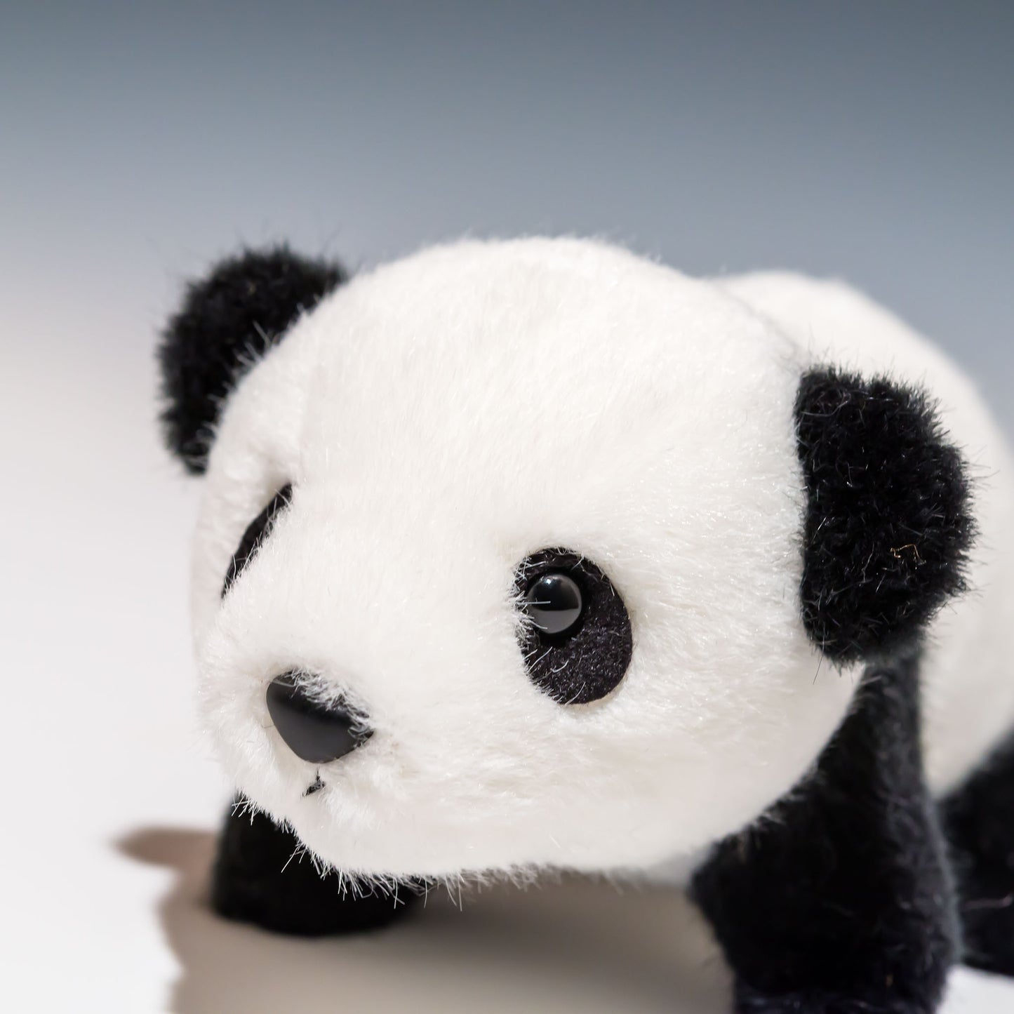 スターチャイルド STAR CHILD ぬいぐるみ ベビーパンダ 1542 左横顔