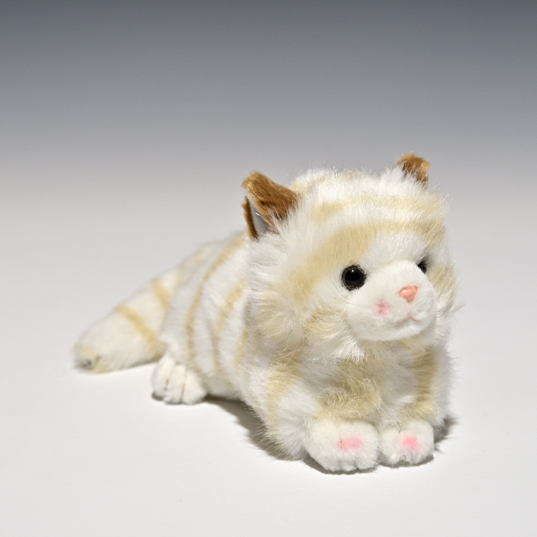 たけのこ TAKENOKO ぬいぐるみ プチどりーむ ミニ (A) ネコ ベージュ