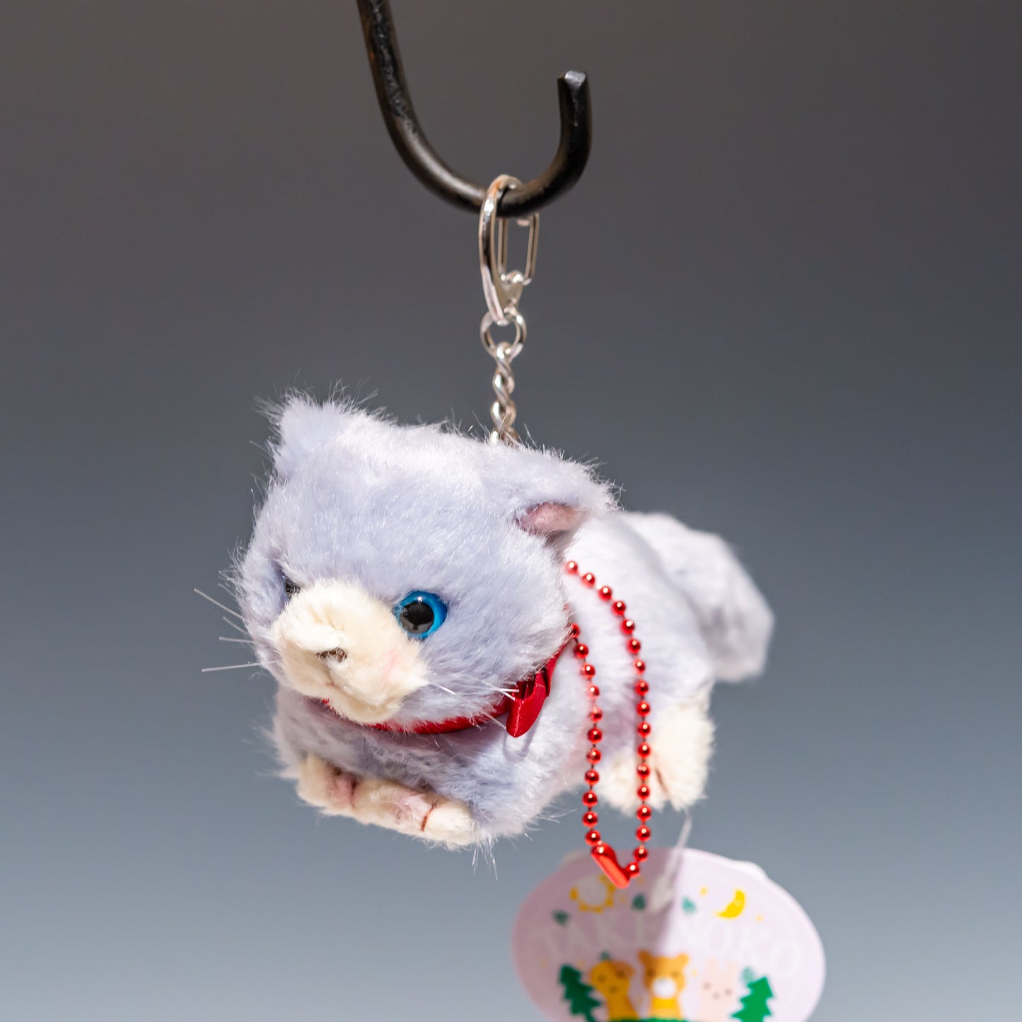 Bambino cat(バンビーノキャット) ロシアンブルー 10507 | たけのこ TAKENOKOの正面