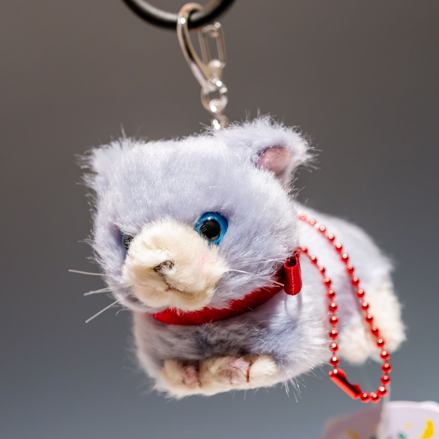 Bambino cat(バンビーノキャット) ロシアンブルー 10507 | たけのこ TAKENOKOの左横顔