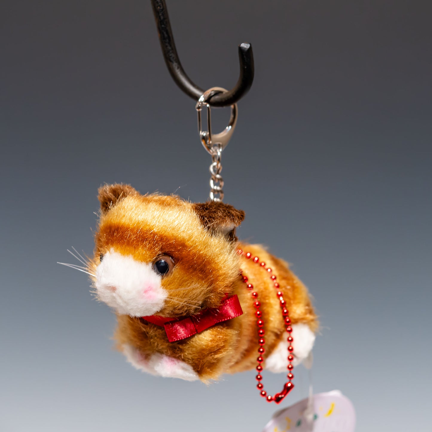 Bambino cat(バンビーノキャット) 茶 10502 | たけのこ TAKENOKOの正面