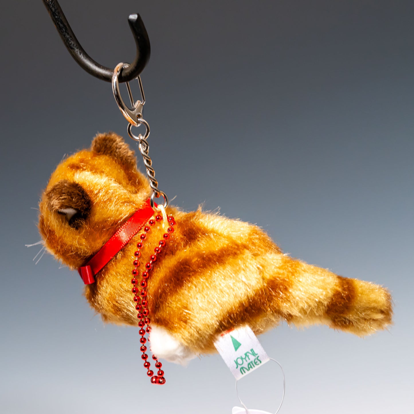 Bambino cat(バンビーノキャット) 茶 10502 | たけのこ TAKENOKOの後ろ姿