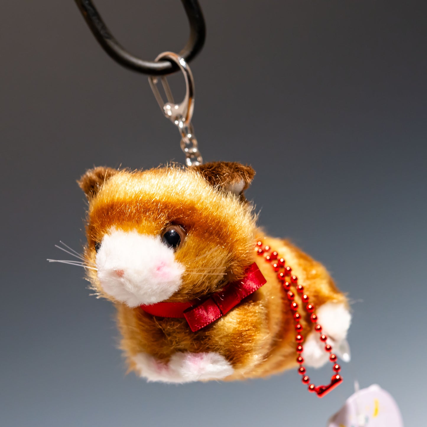 Bambino cat(バンビーノキャット) 茶 10502 | たけのこ TAKENOKOの左横顔