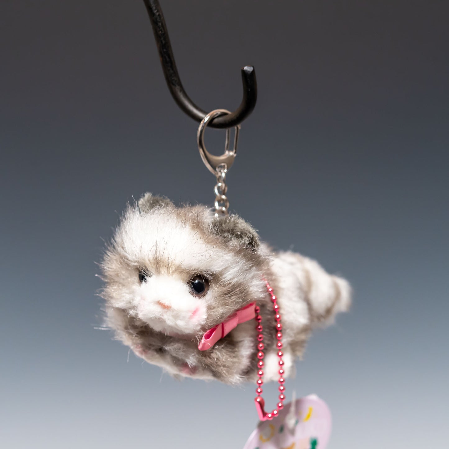 たけのこ TAKENOKO ぬいぐるみ Bambino cat バンビーノキャット グレー 10503 正面