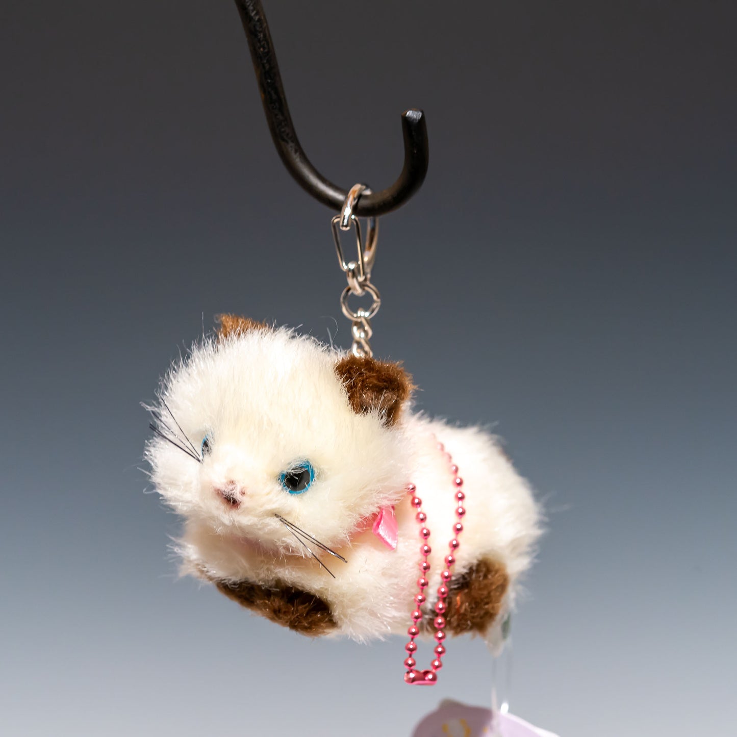 Bambino cat バンビーノキャット シャムネコ 10504 正面