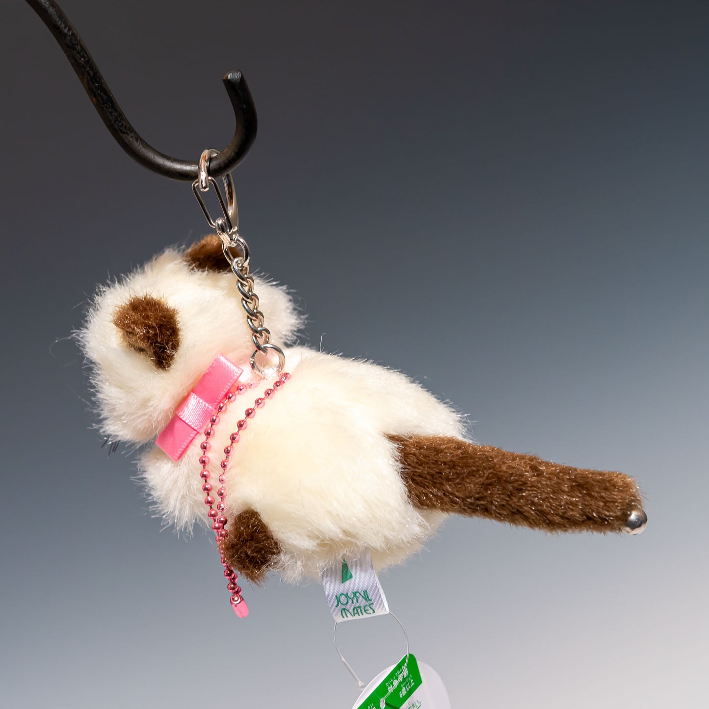 Bambino cat バンビーノキャット シャムネコ 10504 後ろ