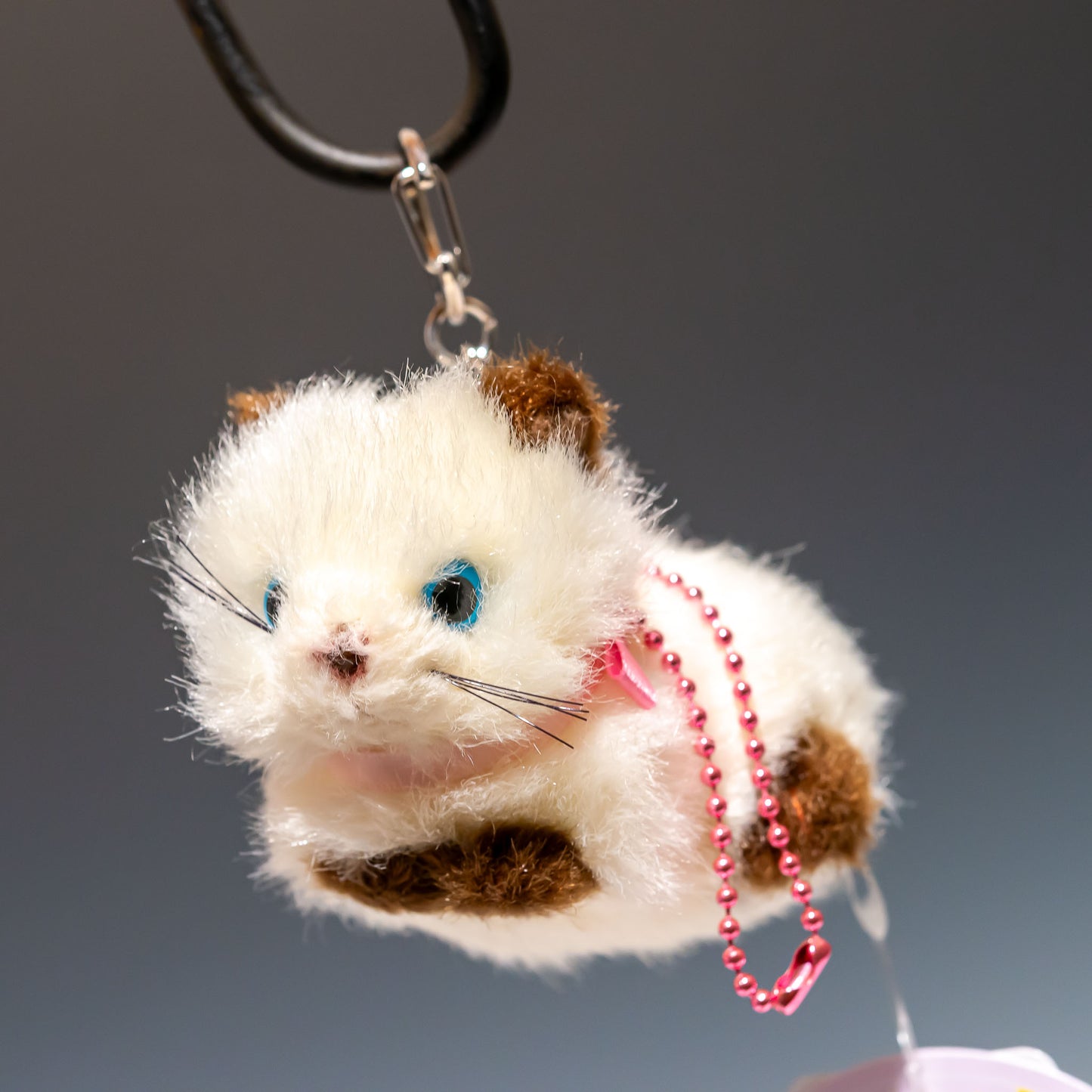 Bambino cat バンビーノキャット シャムネコ 10504 左横顔