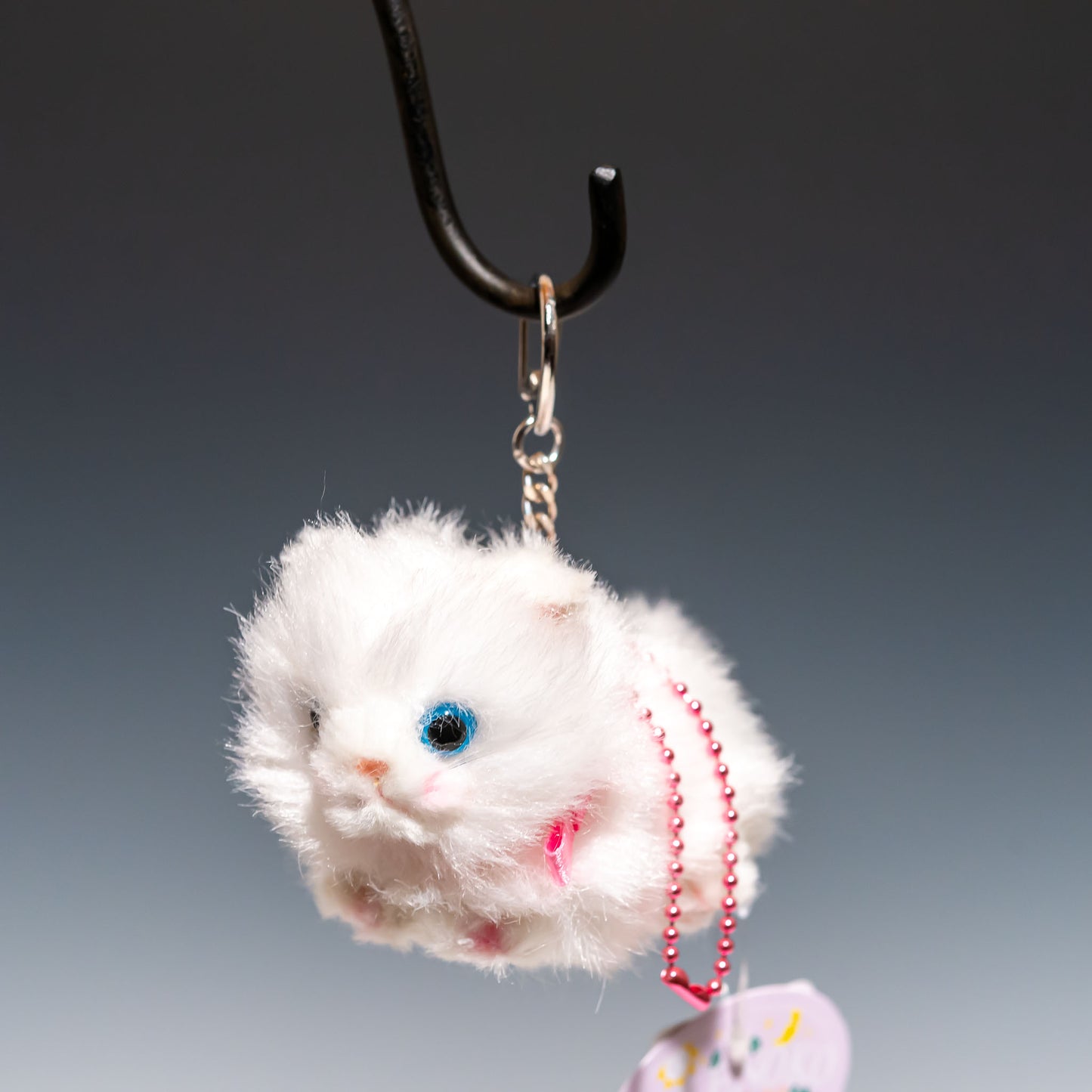 たけのこ TAKENOKO ぬいぐるみ Bambino cat バンビーノキャット ペルシャネコ 10505 正面