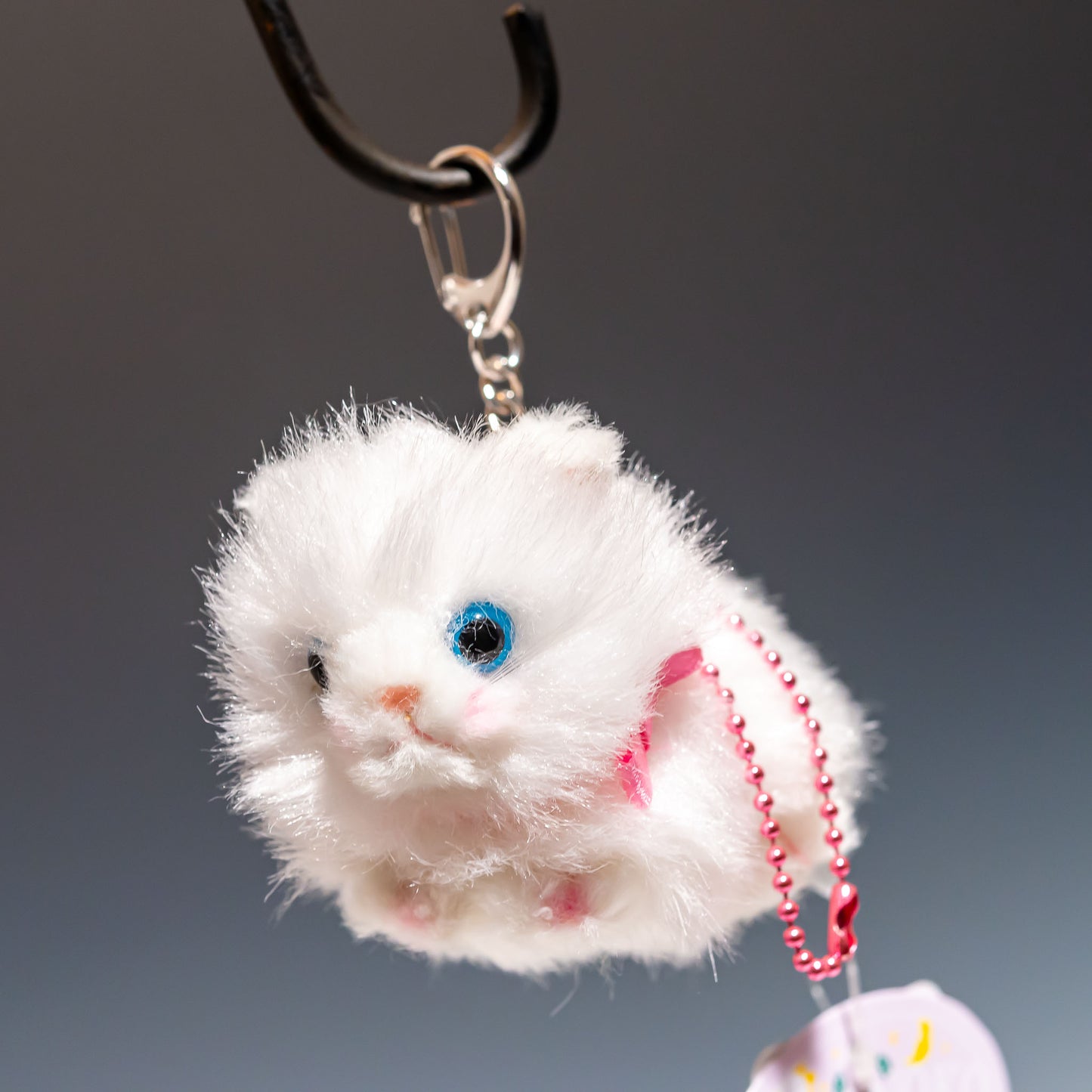 たけのこ TAKENOKO ぬいぐるみ Bambino cat バンビーノキャット ペルシャネコ 10505 左横顔