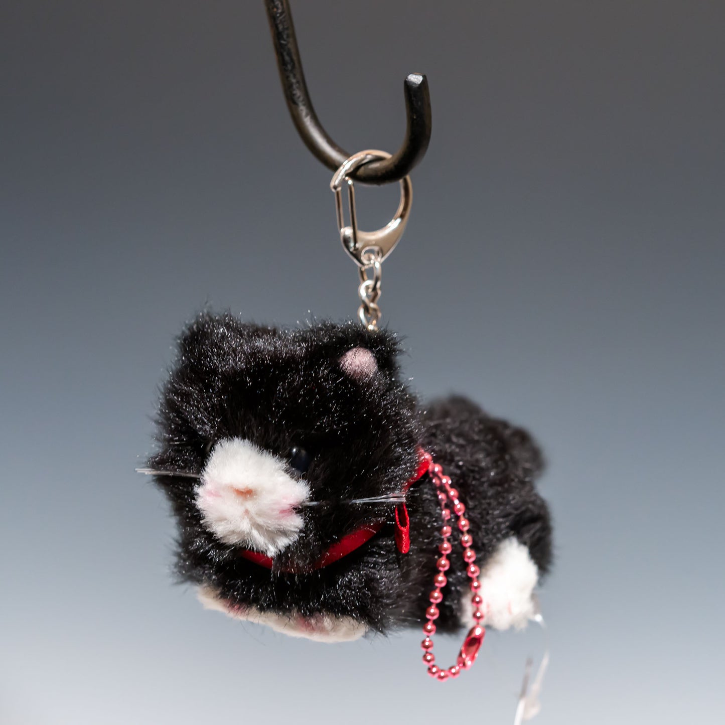 たけのこ TAKENOKO ぬいぐるみ Bambino cat バンビーノキャット 黒 10506 正面