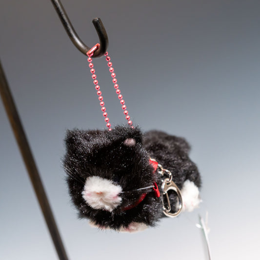 たけのこ TAKENOKO ぬいぐるみ Bambino cat バンビーノキャット 黒 10506 左横