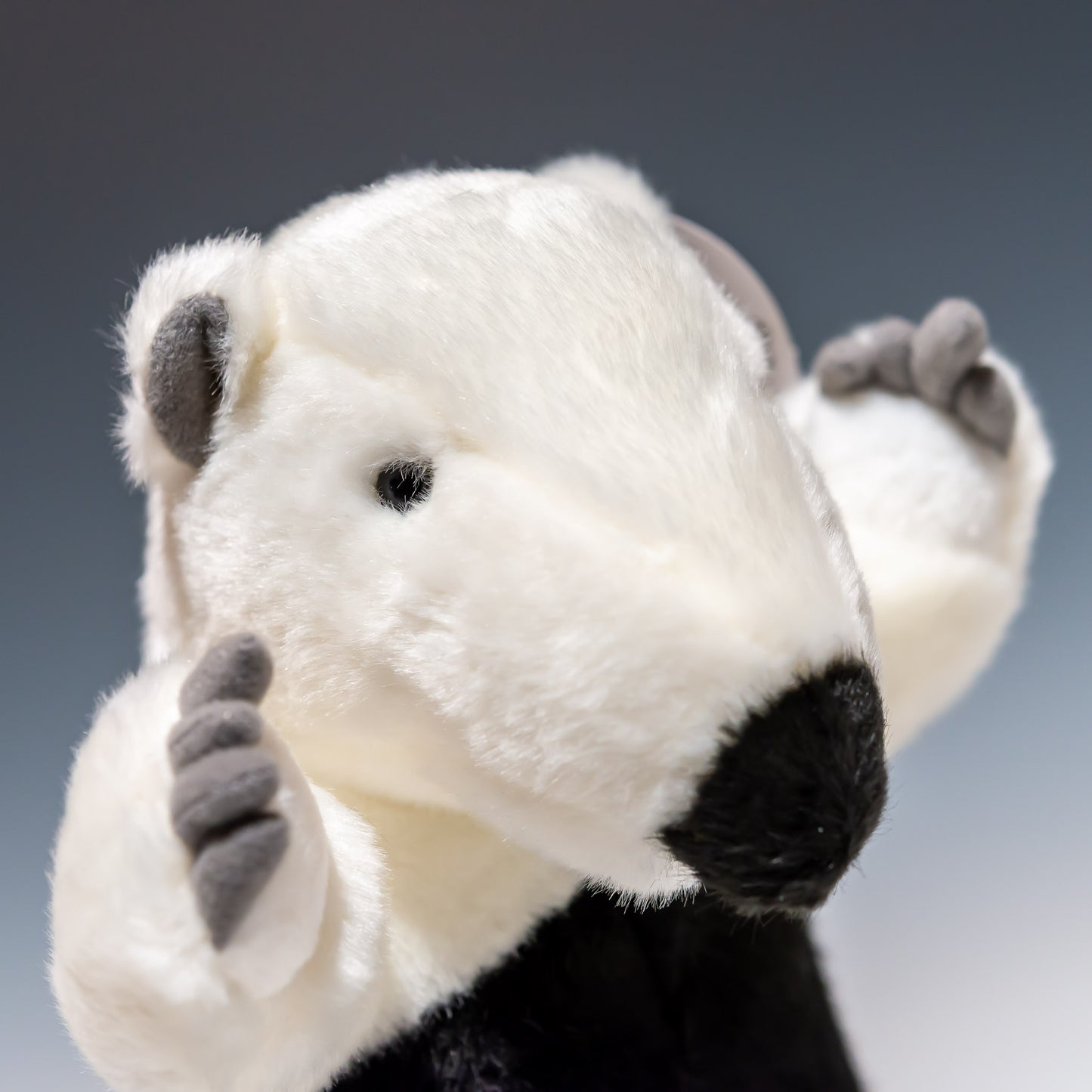 TST 太洋産業貿易 ぬいぐるみ 100+1 ワンオーワン ミナミコアリクイ SM273 右横顔