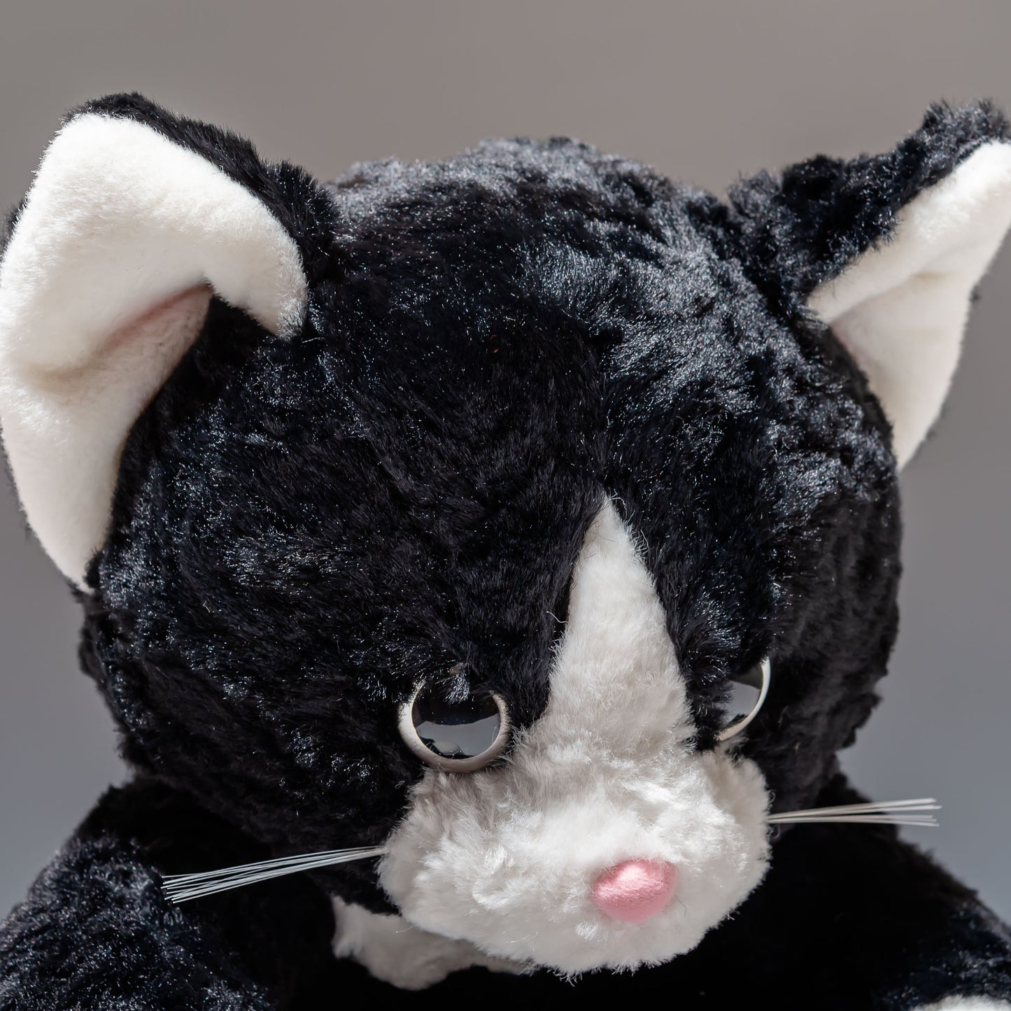 スターチャイルド STAR CHILD ぬいぐるみ 仔ネコのルーキーズ LL ブラック 1260 右横顔