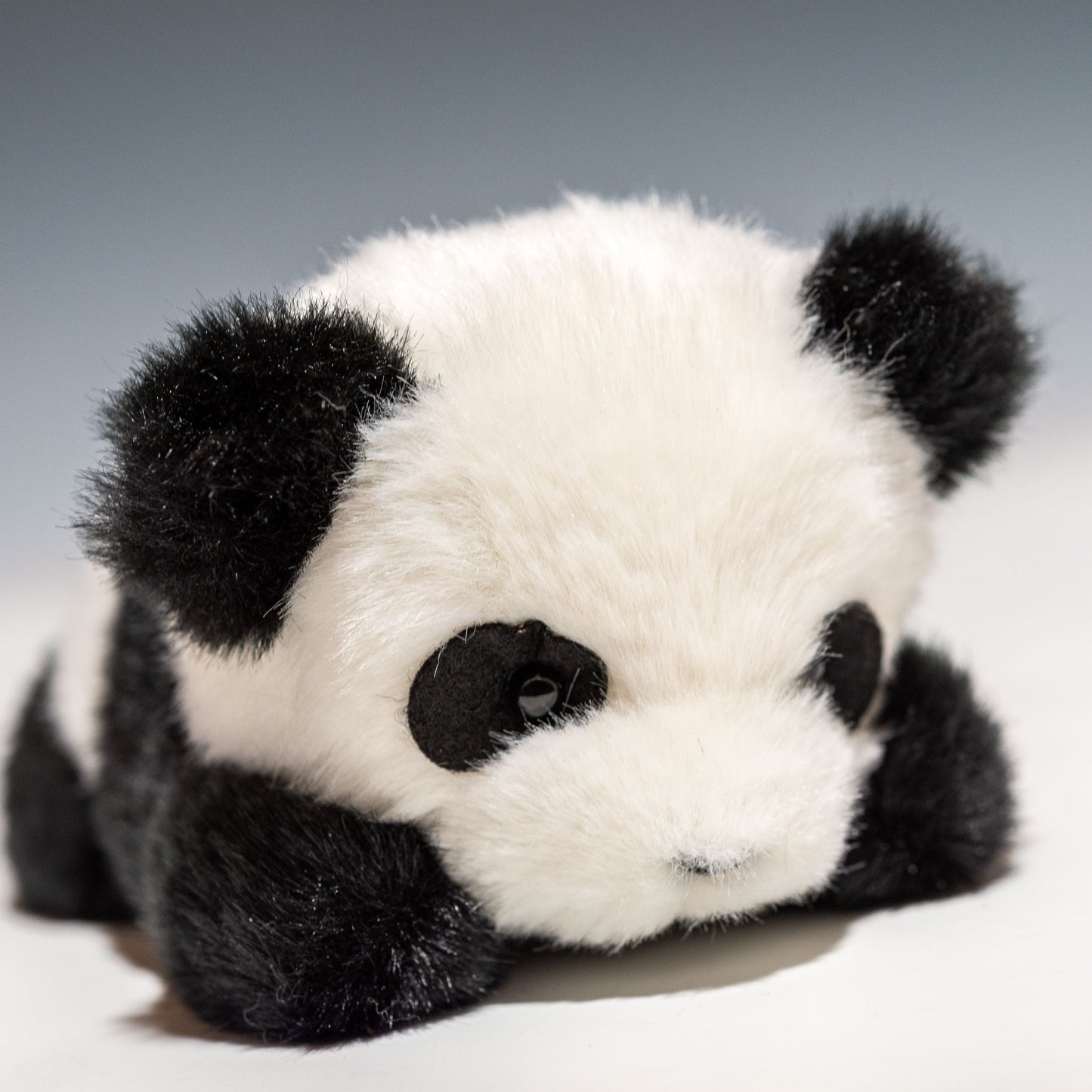 たけのこ TAKENOKO ぬいぐるみ プチパンダ (這い) 58625 右横顔
