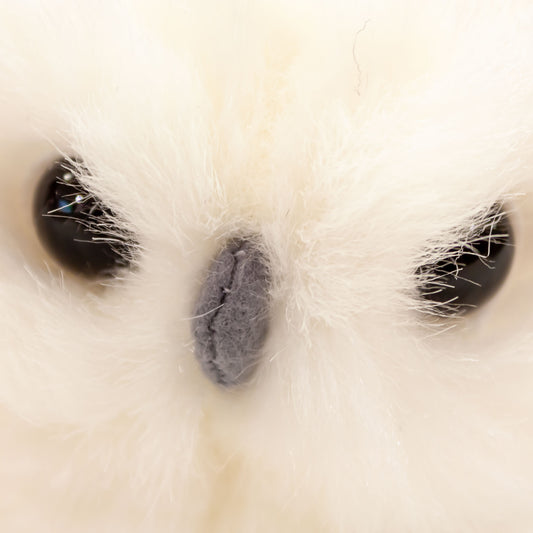 スターチャイルド STAR CHILD ぬいぐるみ しろふくろう 1355 アップ