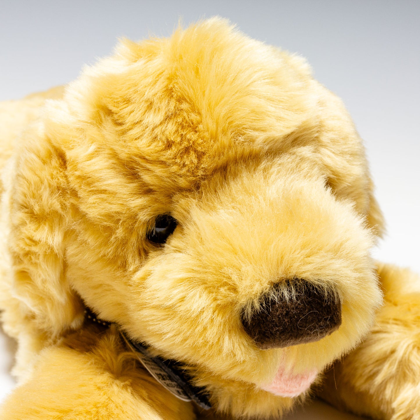 吉徳 ぬいぐるみ ゴールデンレトリバー S 180371 右横顔