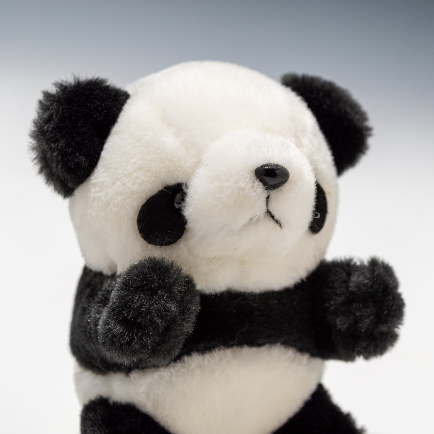 オリエンタルトーイ ぬいぐるみ ラブリーパンダ S 笛入り J-58 右横顔