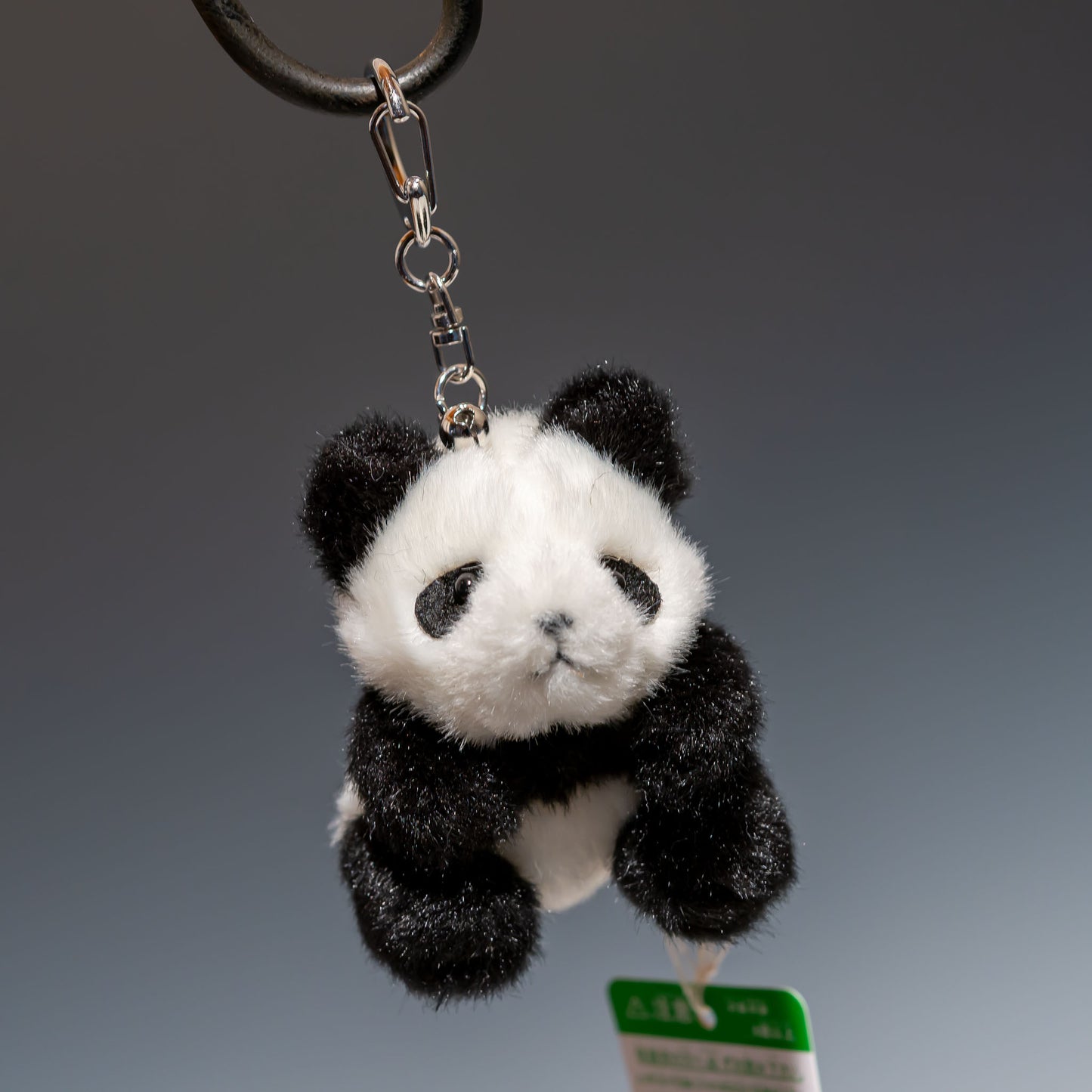 たけのこ TAKENOKO ぬいぐるみ ミニミニキッズ パンダ 48552 右横顔