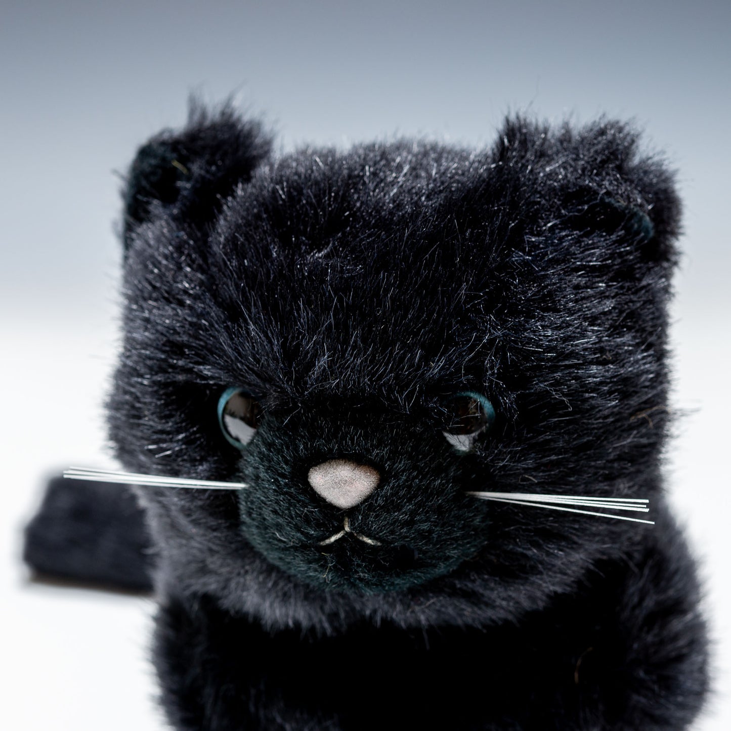 スターチャイルド STAR CHILD ぬいぐるみ ぬくねこ ブラック 1274 アップ