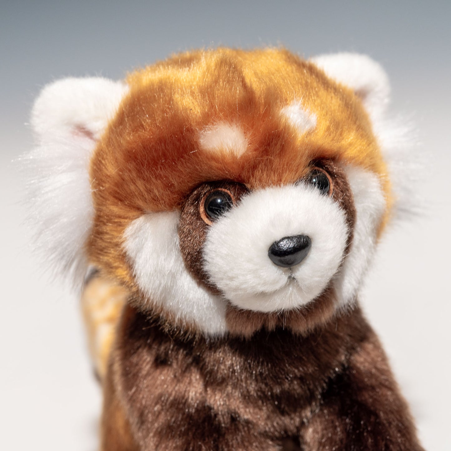 たけのこ TAKENOKO ぬいぐるみ リアルレッサーパンダ 20905 右横顔