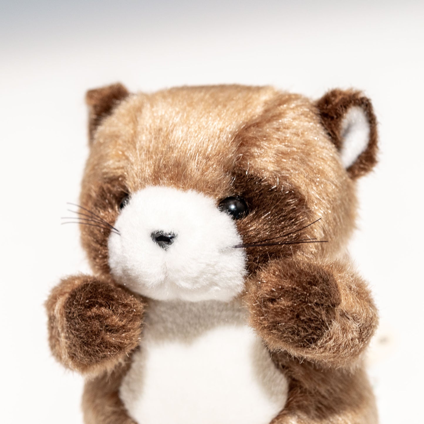 たけのこ TAKENOKO ぬいぐるみ 森のなかま (ミニ) タヌキ 85211 左横顔