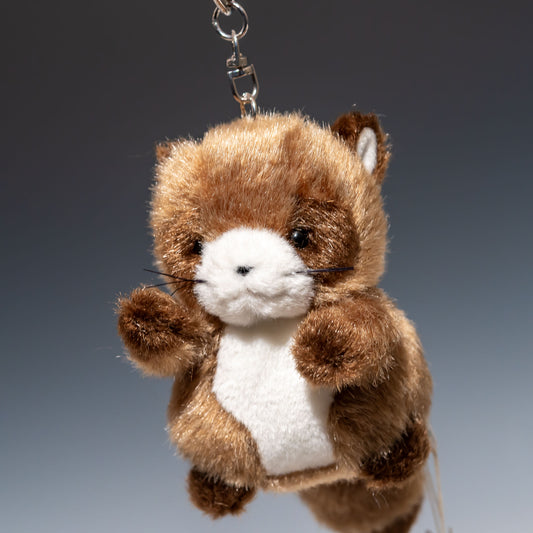 たけのこ TAKENOKO ぬいぐるみ プチ森のなかま タヌキ 68442 左横顔