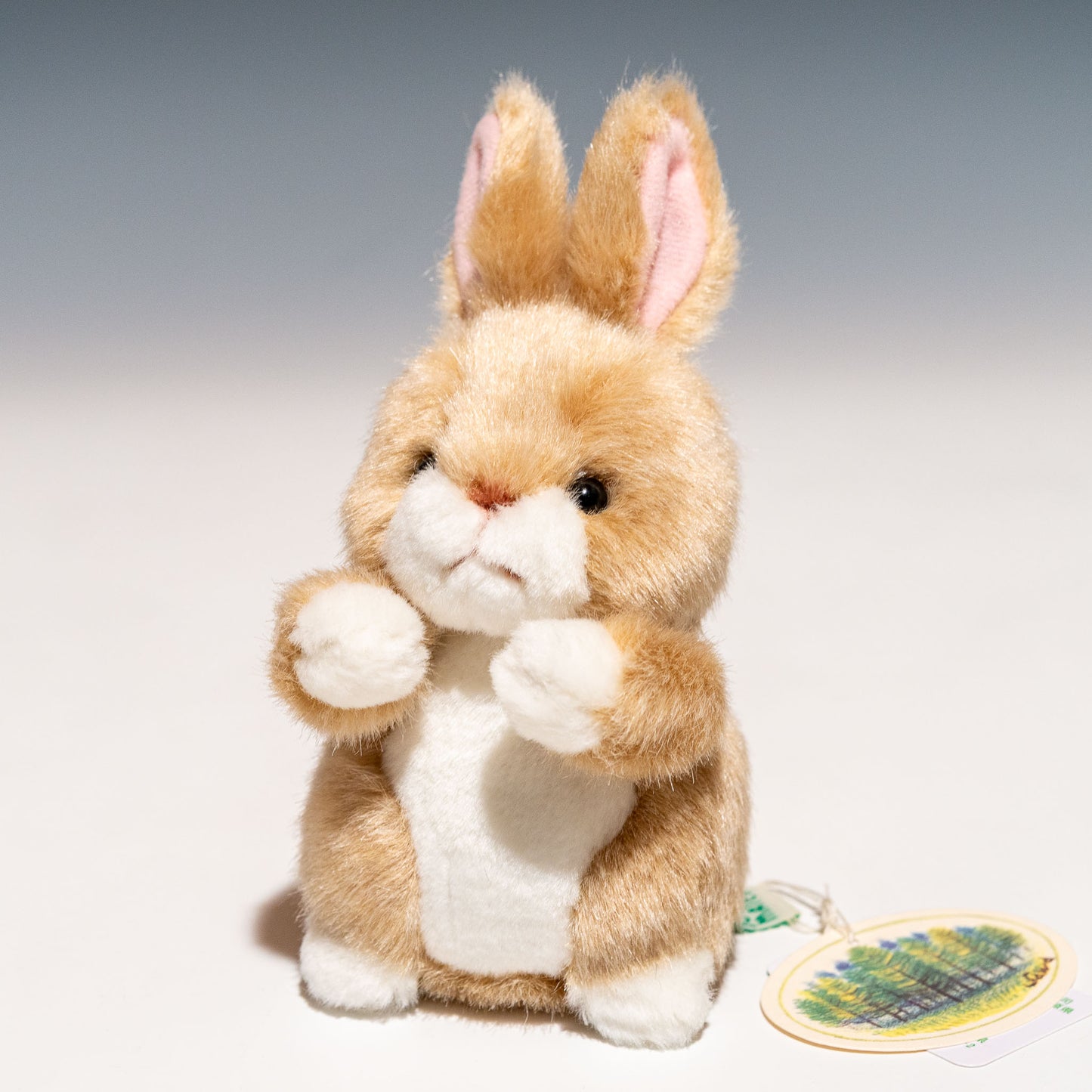 たけのこ TAKENOKO ぬいぐるみ 森のなかま (ミニ) ウサギ ベージュ 85210 正面