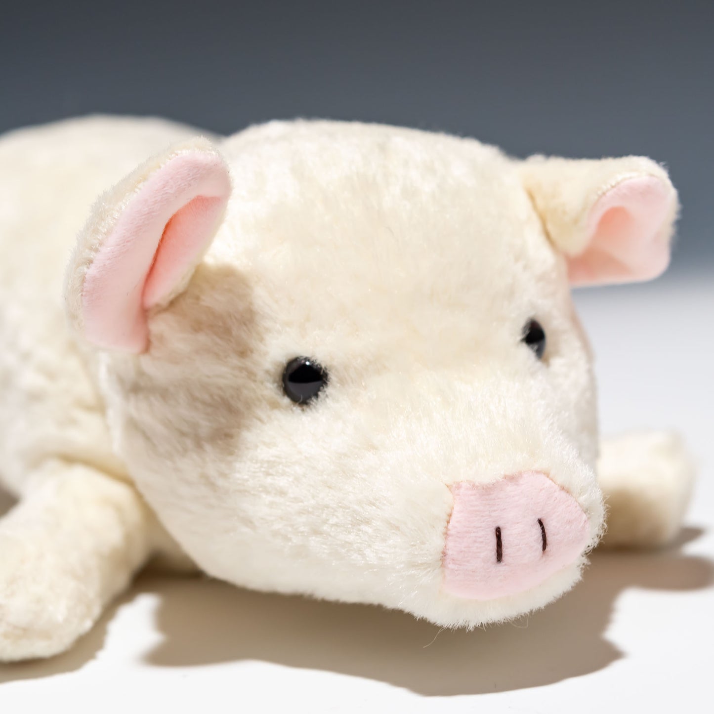 スターチャイルド STAR CHILD ぬいぐるみ 仔ブタのプリン アイボリー 1328 右横顔