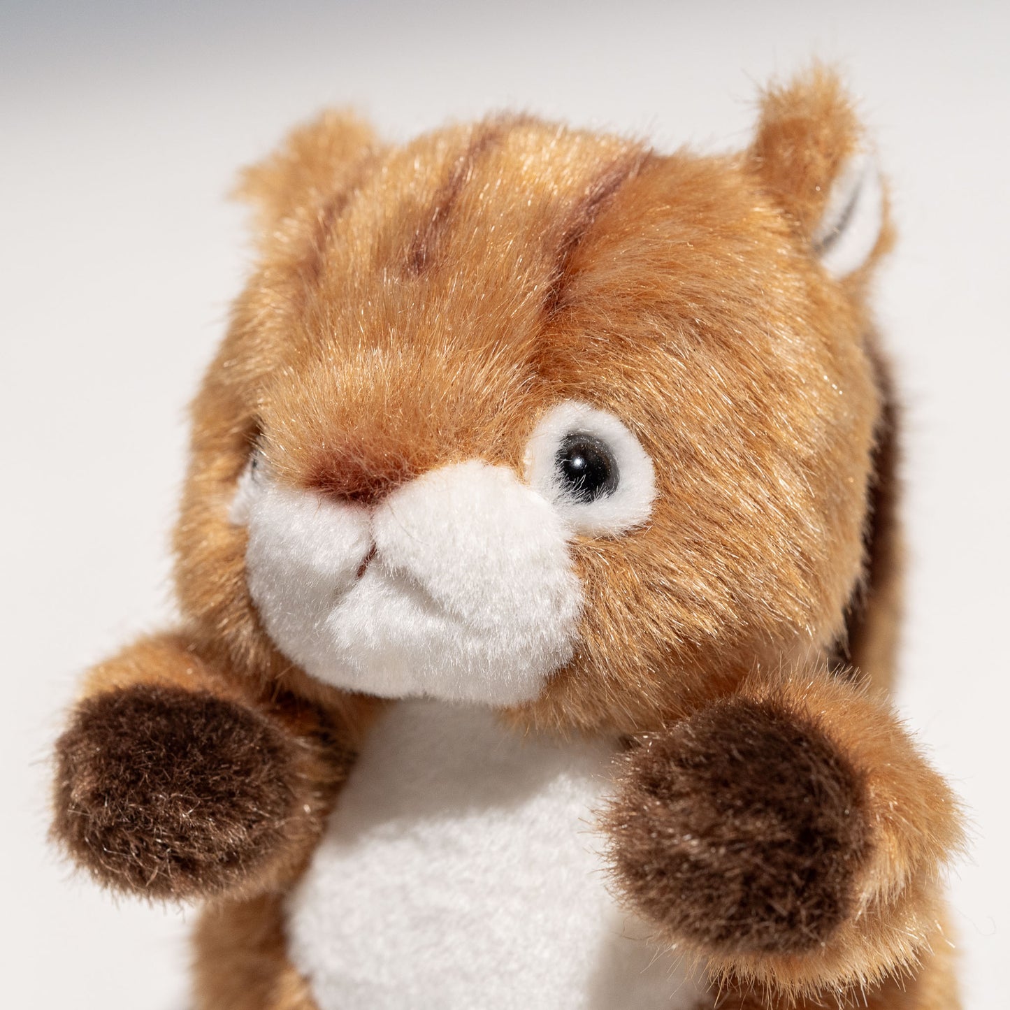 たけのこ TAKENOKO ぬいぐるみ 森のなかま (ミニ) リス 85206 左横顔