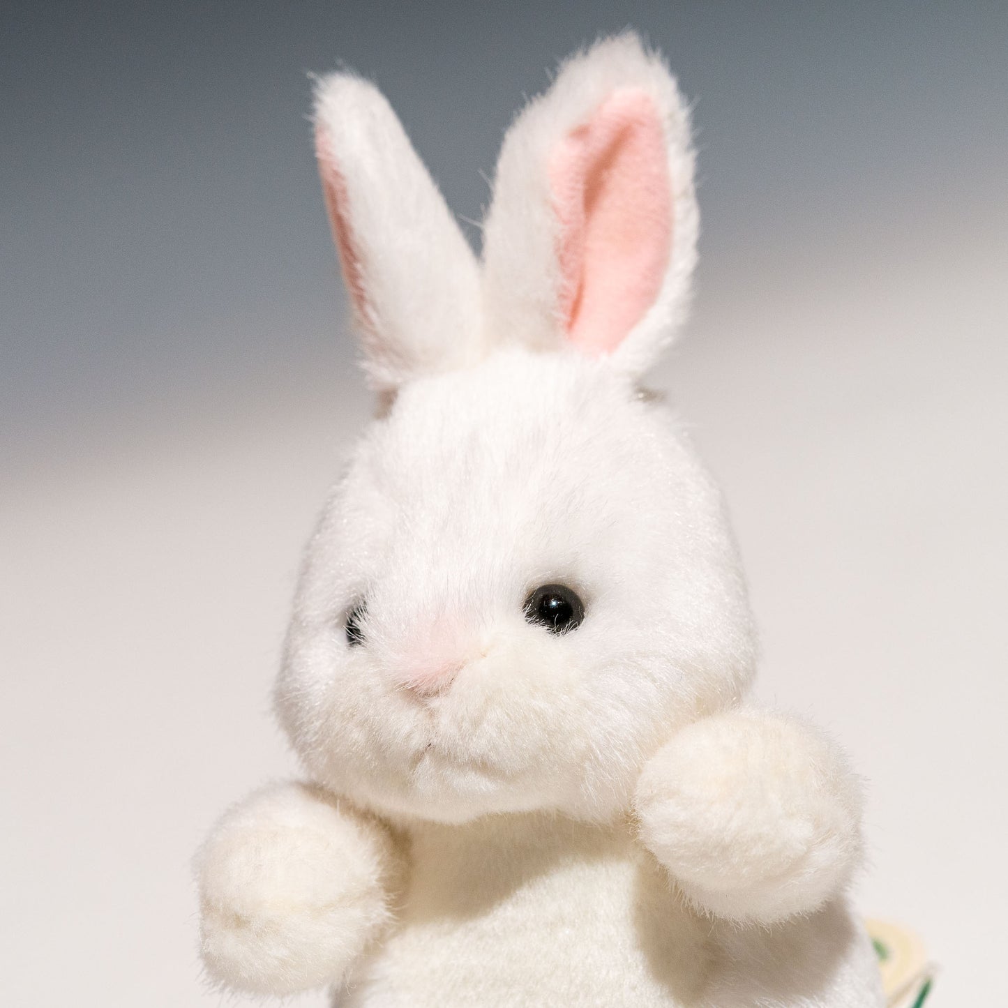 たけのこ TAKENOKO ぬいぐるみ 森のなかま (ミニ) ウサギ 白 85214 左横顔