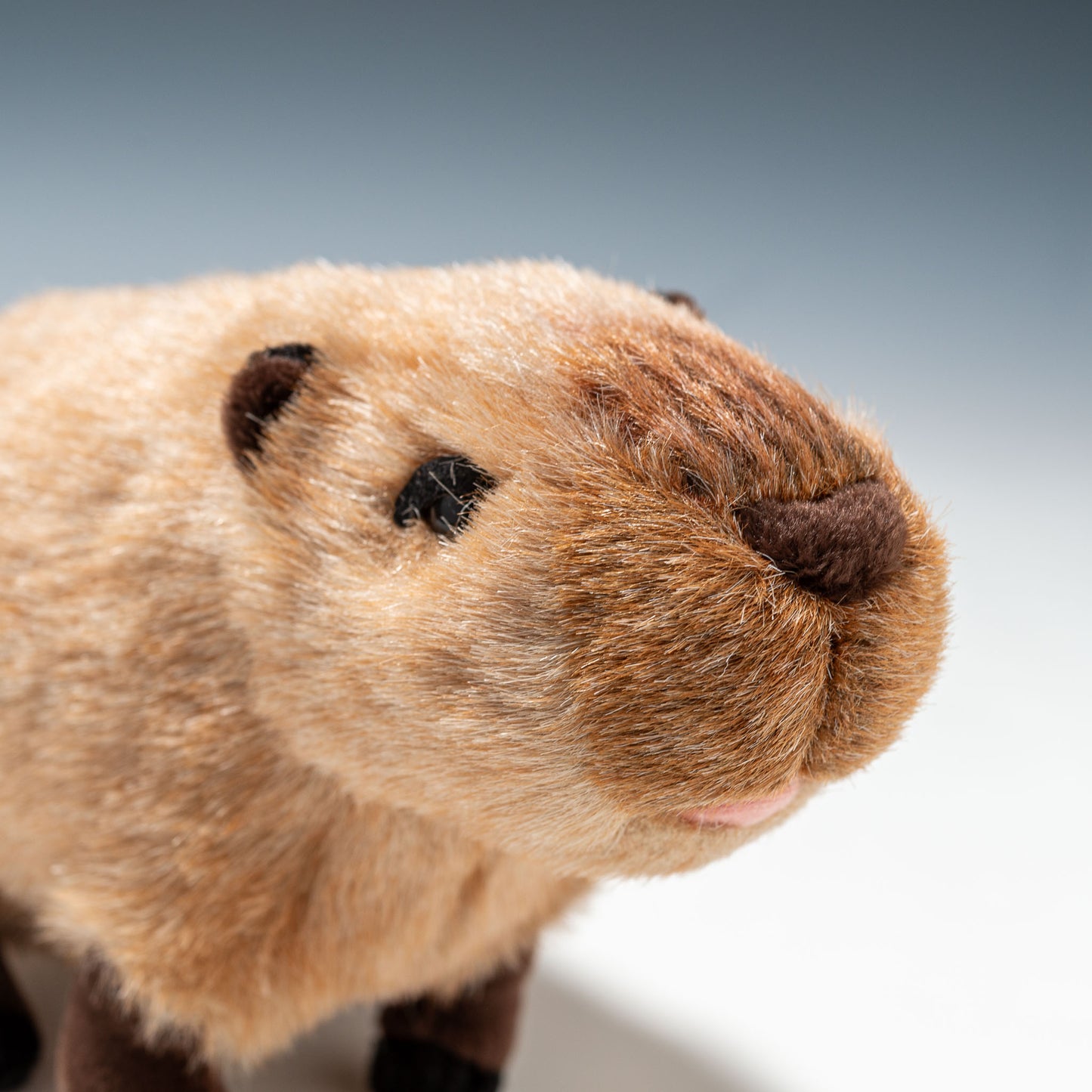 吉徳 ぬいぐるみ りくのなかまたち カピバラ S 180250 右横顔