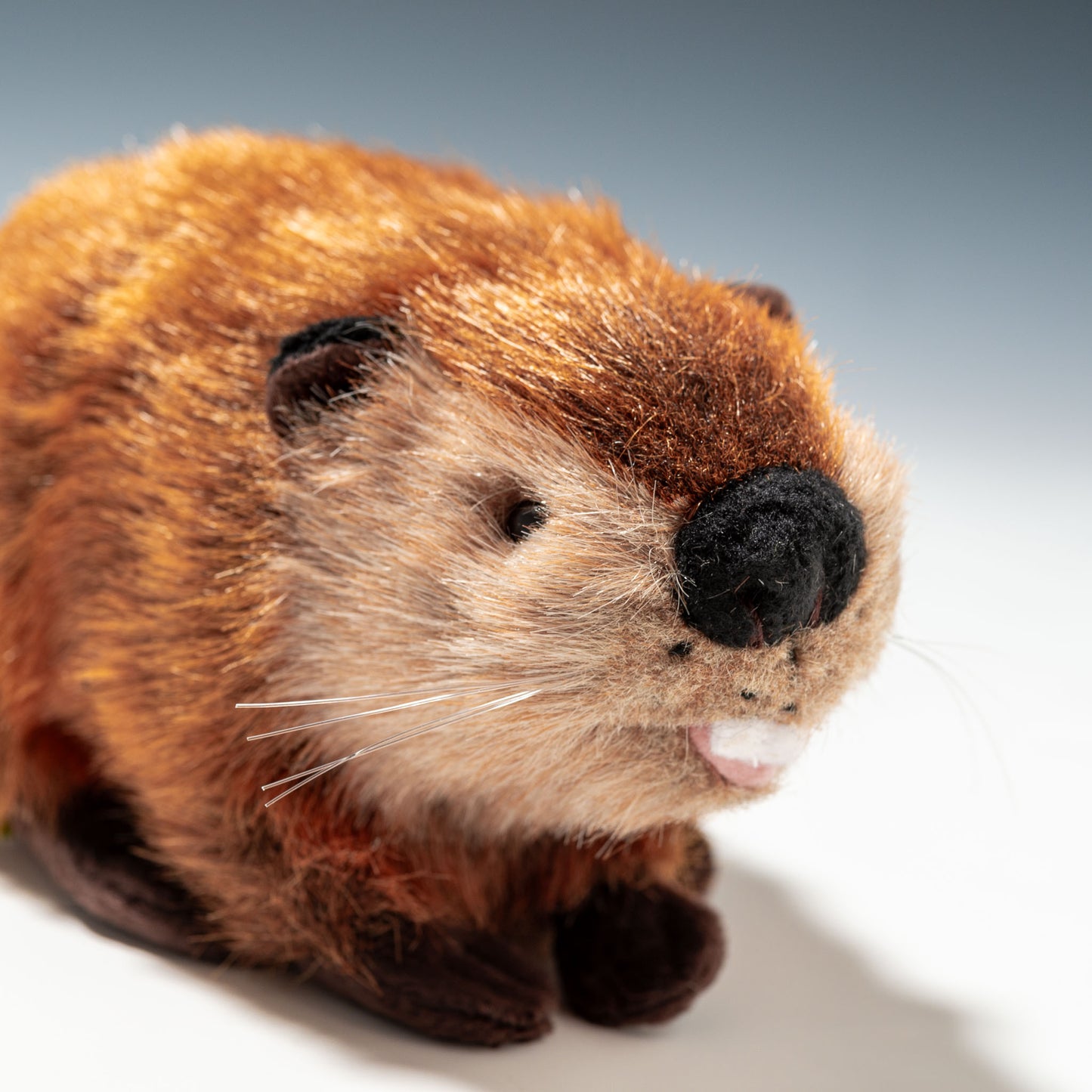 吉徳 ぬいぐるみ りくのなかまたち ビーバー S 180249 右横顔