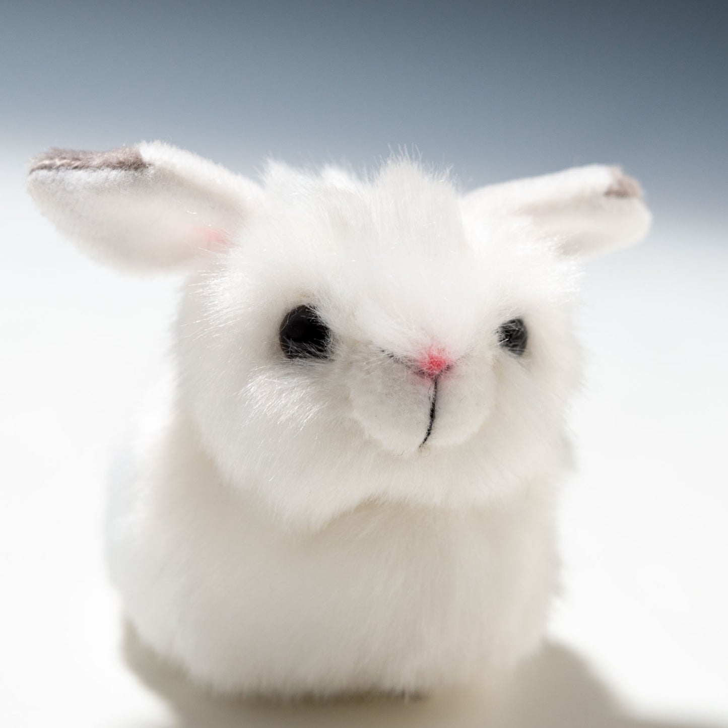 吉徳 ぬいぐるみ りくのなかまたち 雪うさぎ マスコット 180012 右横顔