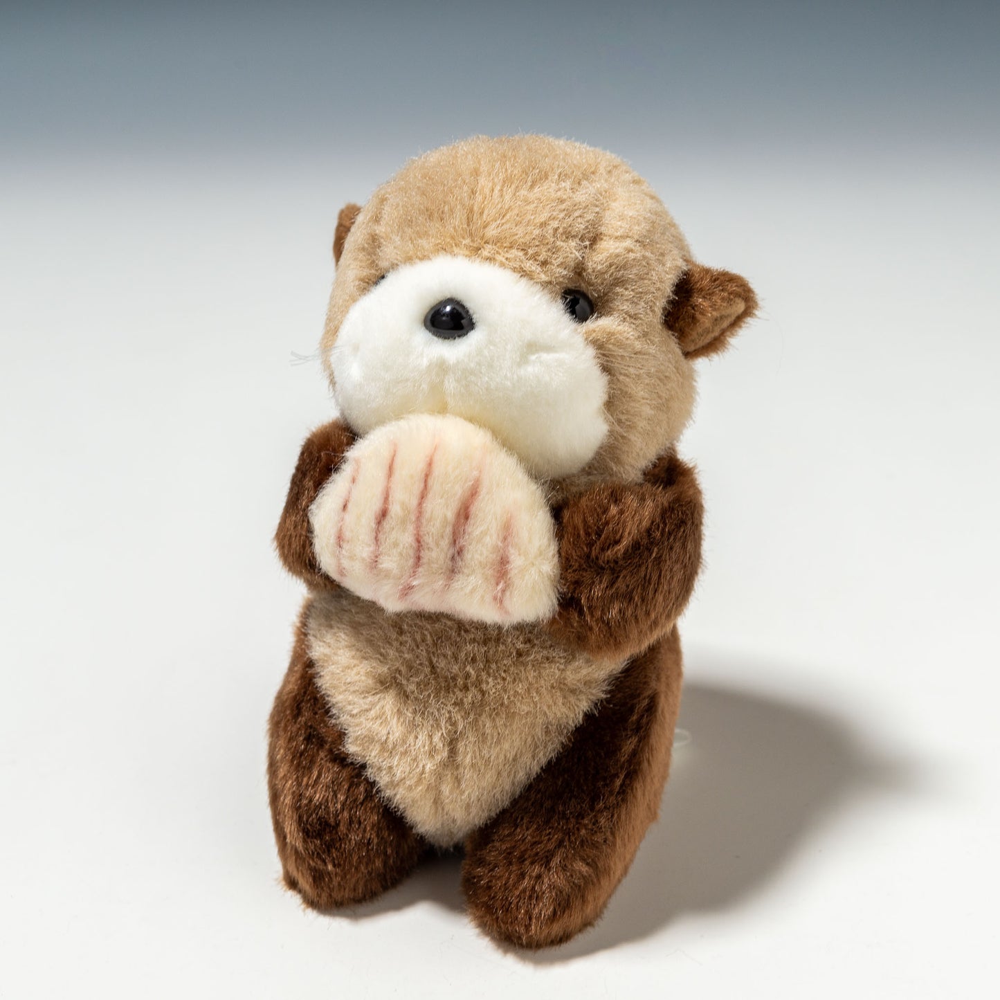 たけのこ TAKENOKO ぬいぐるみ マリンシリーズ NEWラッコ SS 10751 正面