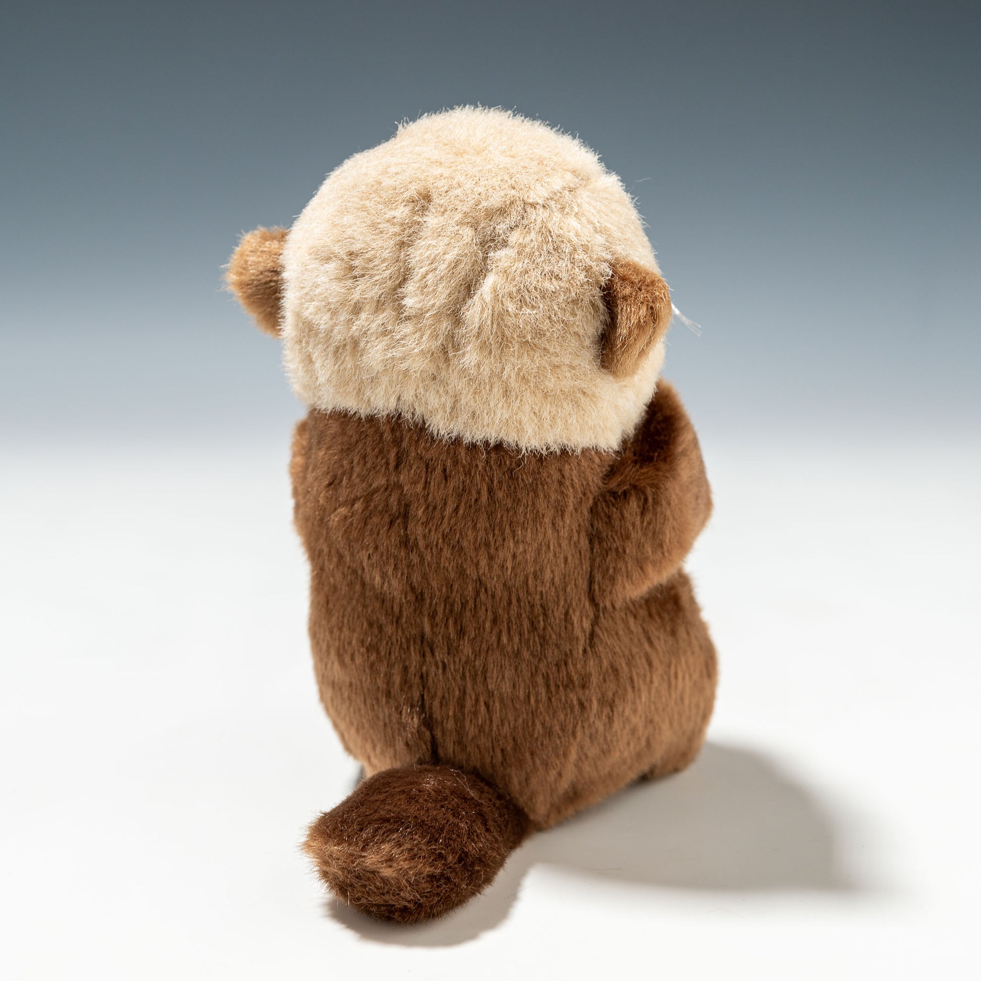 たけのこ TAKENOKO ぬいぐるみ マリンシリーズ NEWラッコ SS 10751 後ろ