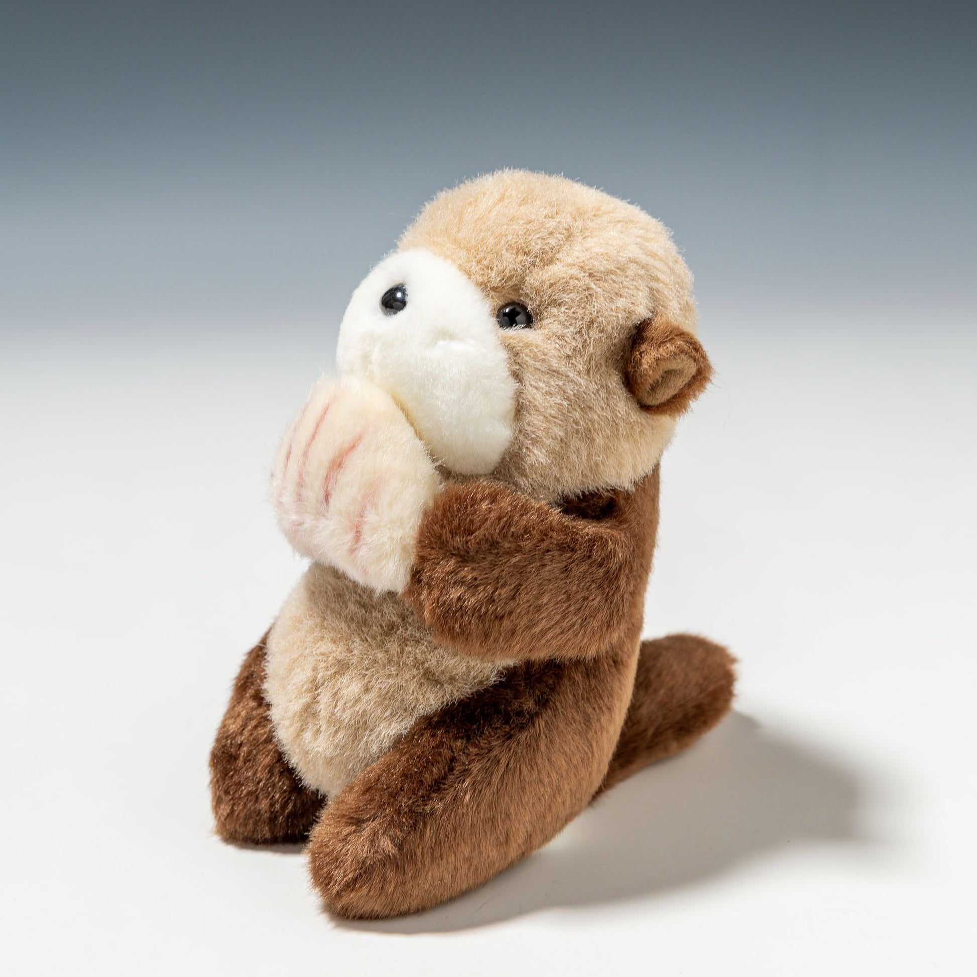 たけのこ TAKENOKO ぬいぐるみ マリンシリーズ NEWラッコ SS 10751 み右横