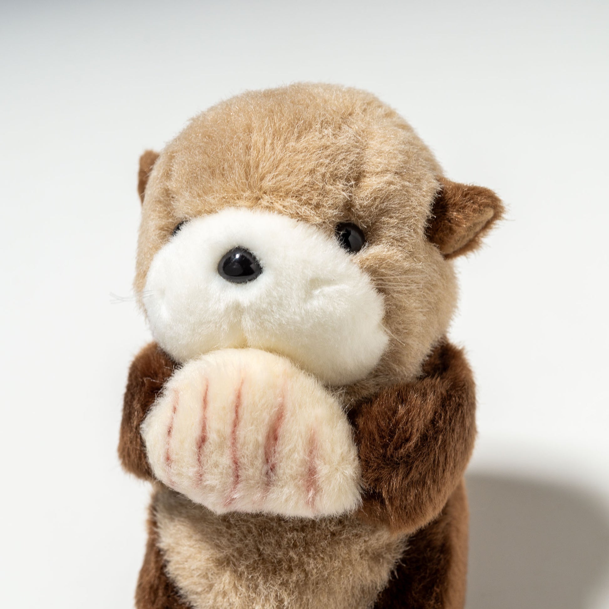 たけのこ TAKENOKO ぬいぐるみ マリンシリーズ NEWラッコ SS 10751 左横顔