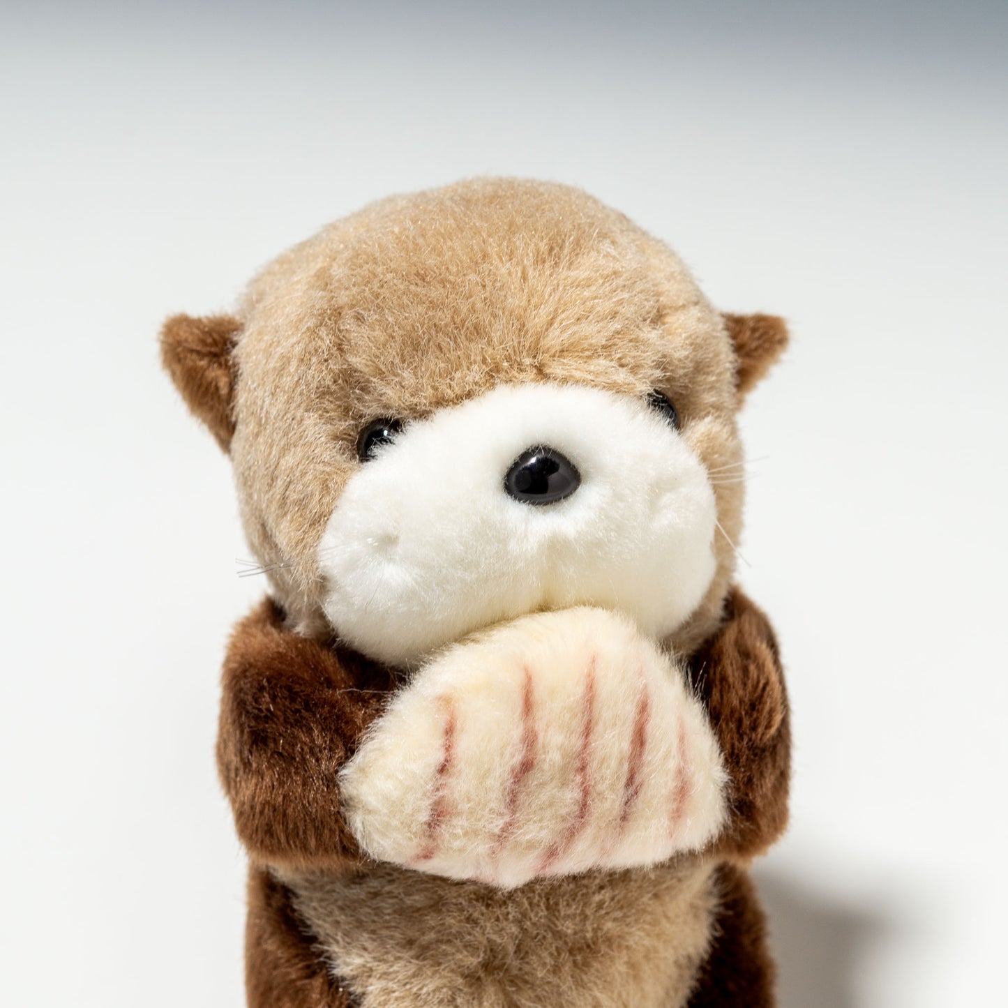 たけのこ TAKENOKO ぬいぐるみ マリンシリーズ NEWラッコ SS 10751 右横顔