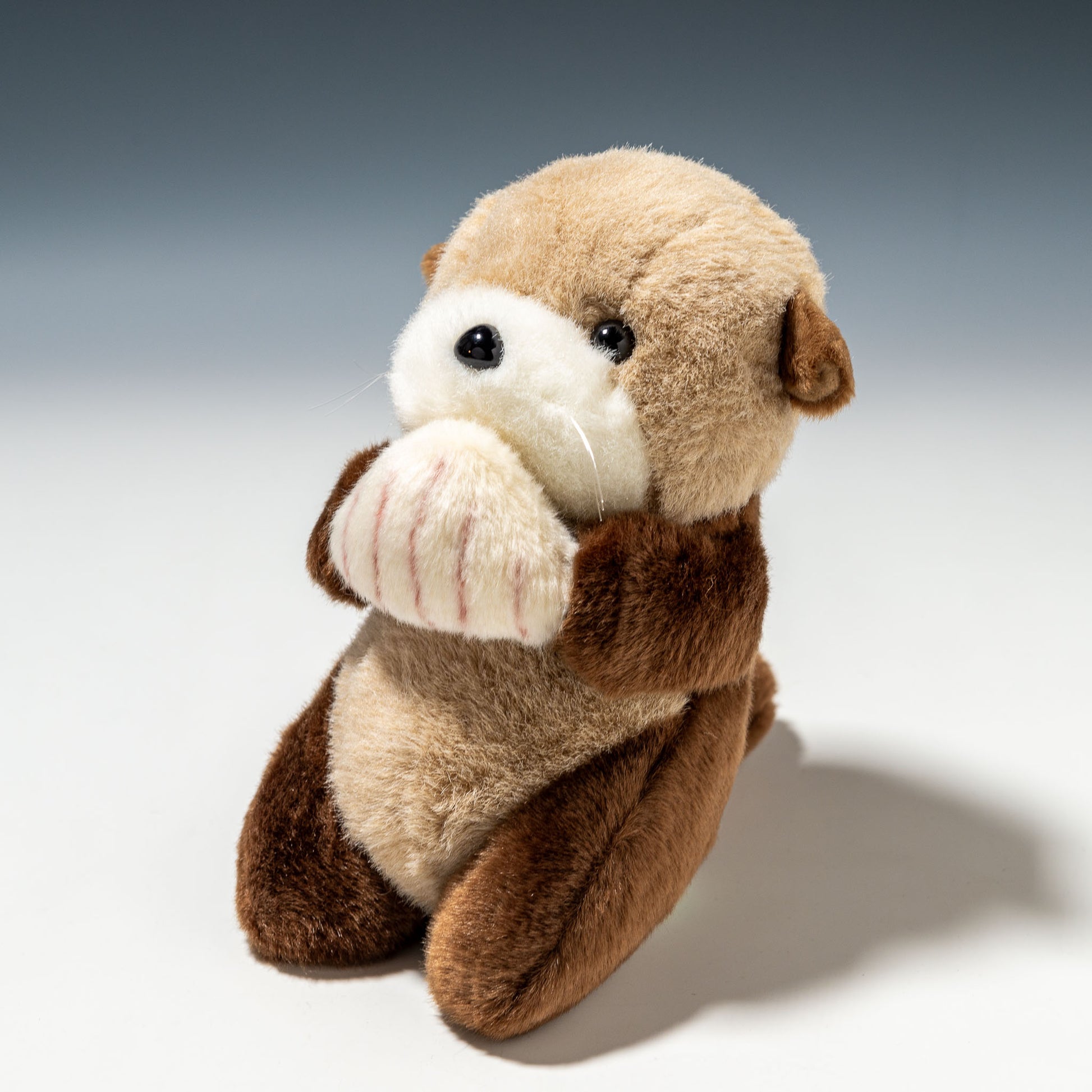 たけのこ TAKENOKO ぬいぐるみ マリンシリーズ NEWラッコ S 15151 右横