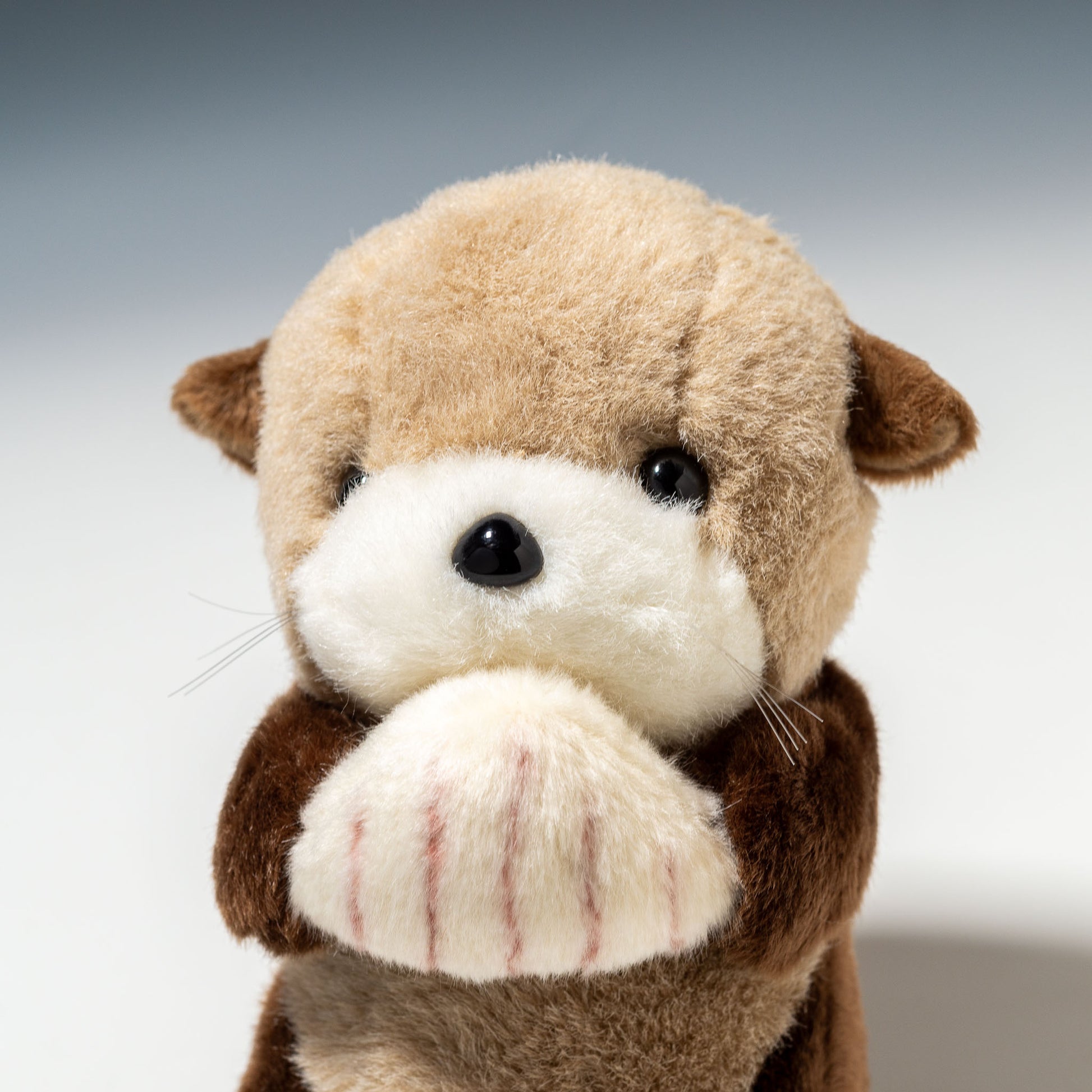 たけのこ TAKENOKO ぬいぐるみ マリンシリーズ NEWラッコ S 15151 左横顔