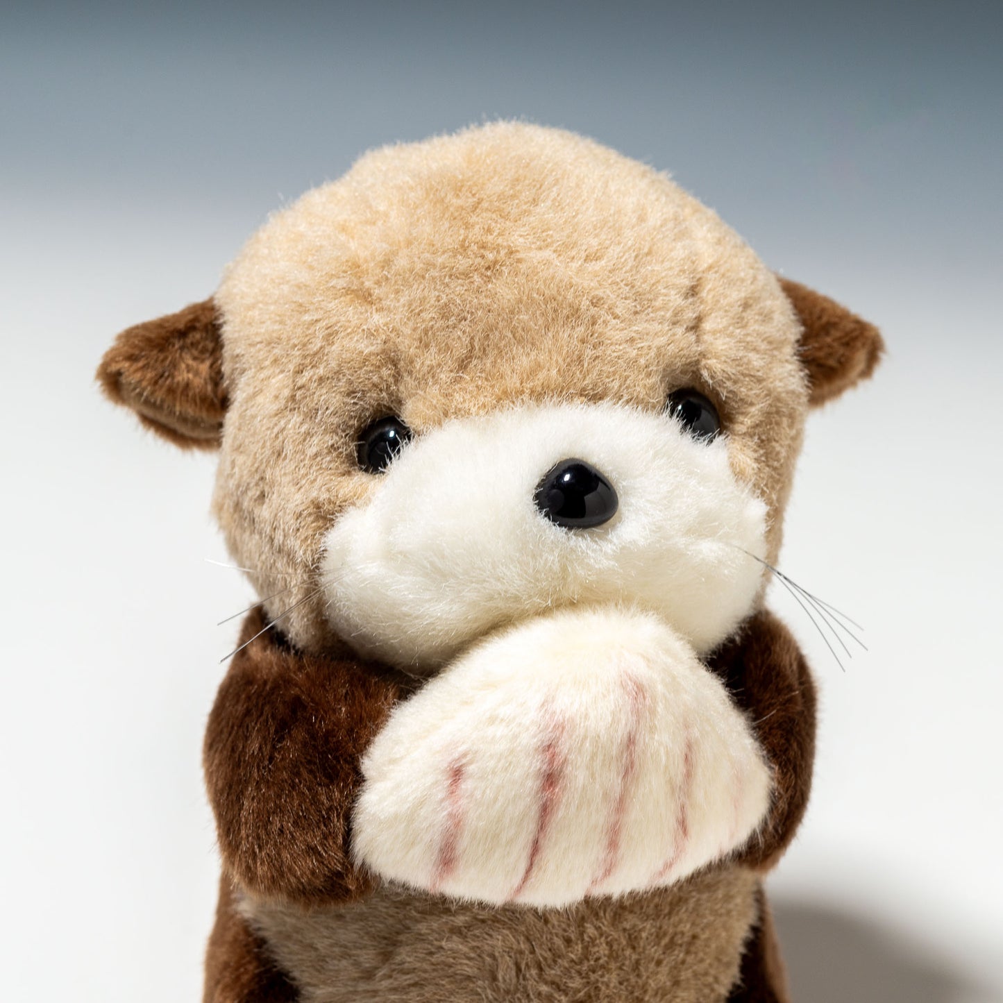 たけのこ TAKENOKO ぬいぐるみ マリンシリーズ NEWラッコ S 15151 右横顔