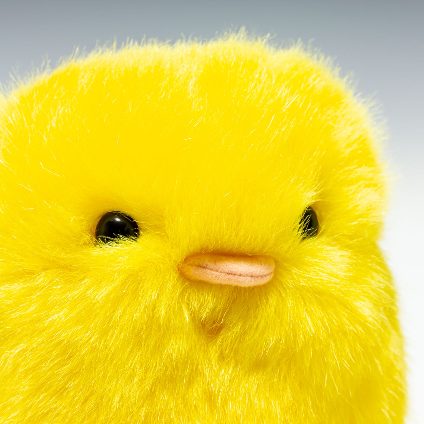 スターチャイルド STAR CHILD ぬいぐるみ ぴよたま Mサイズ 1407 右横顔