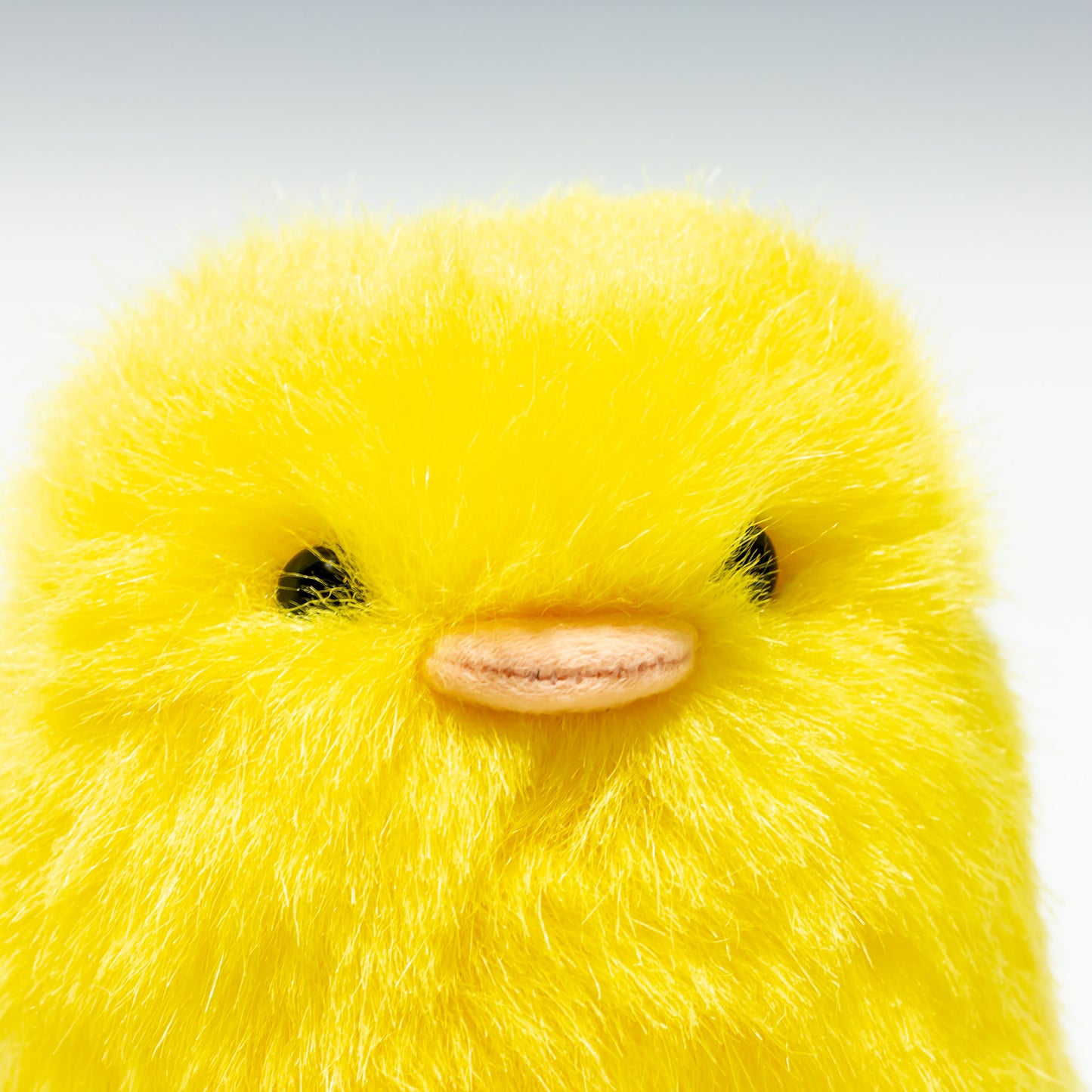 スターチャイルド STAR CHILD ぬいぐるみ ぴよたま S 1408 右横顔