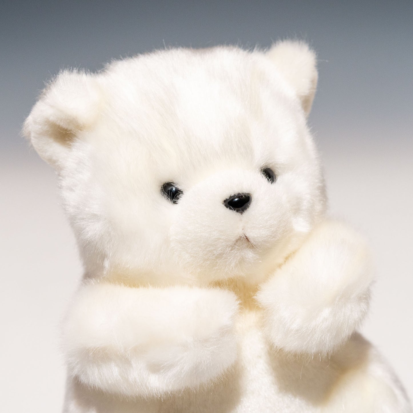 たけのこ TAKENOKO ぬいぐるみ 森のなかま (S) クマ 白 18793 左横顔